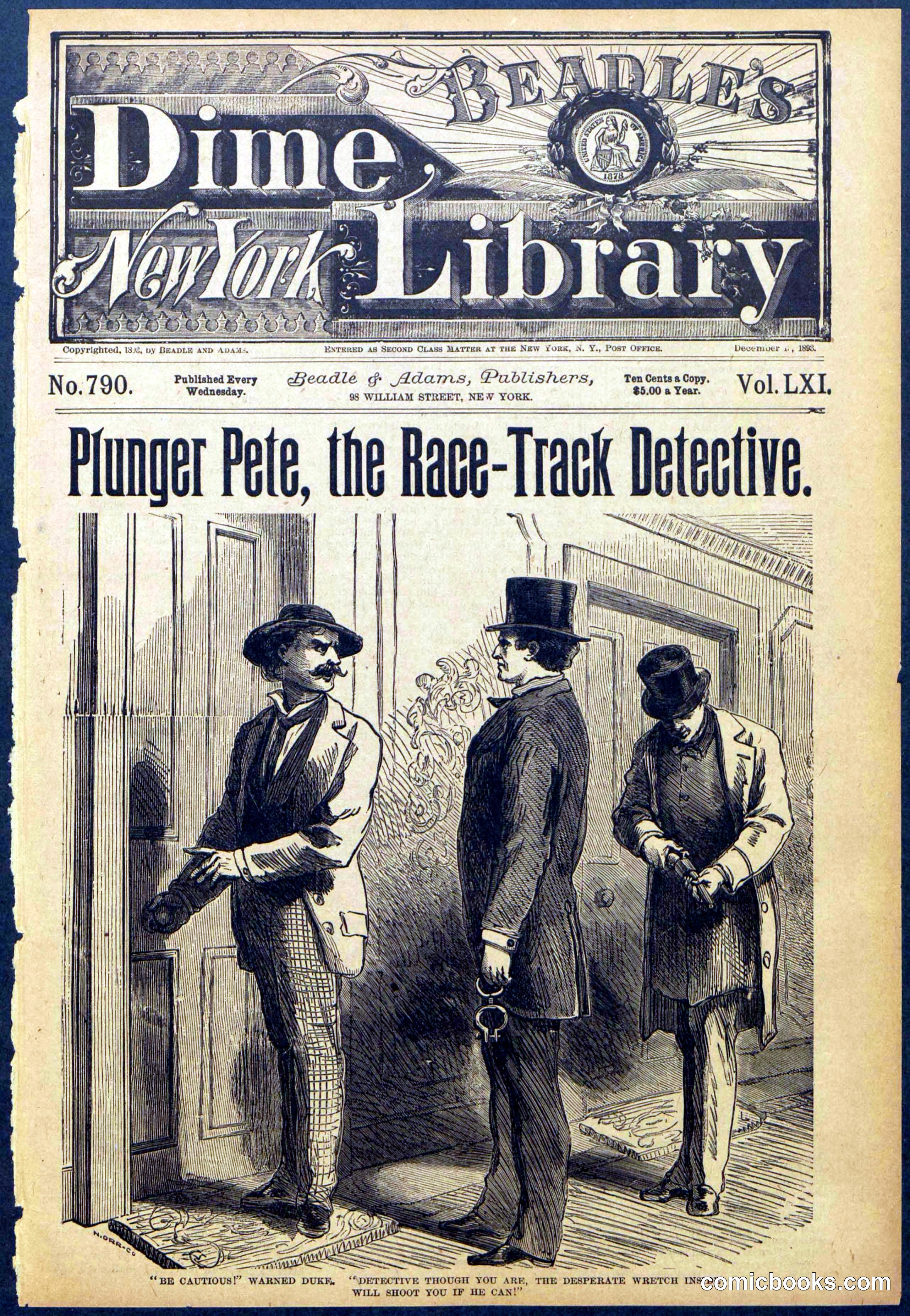Beadle's New York Dime Library No. 790