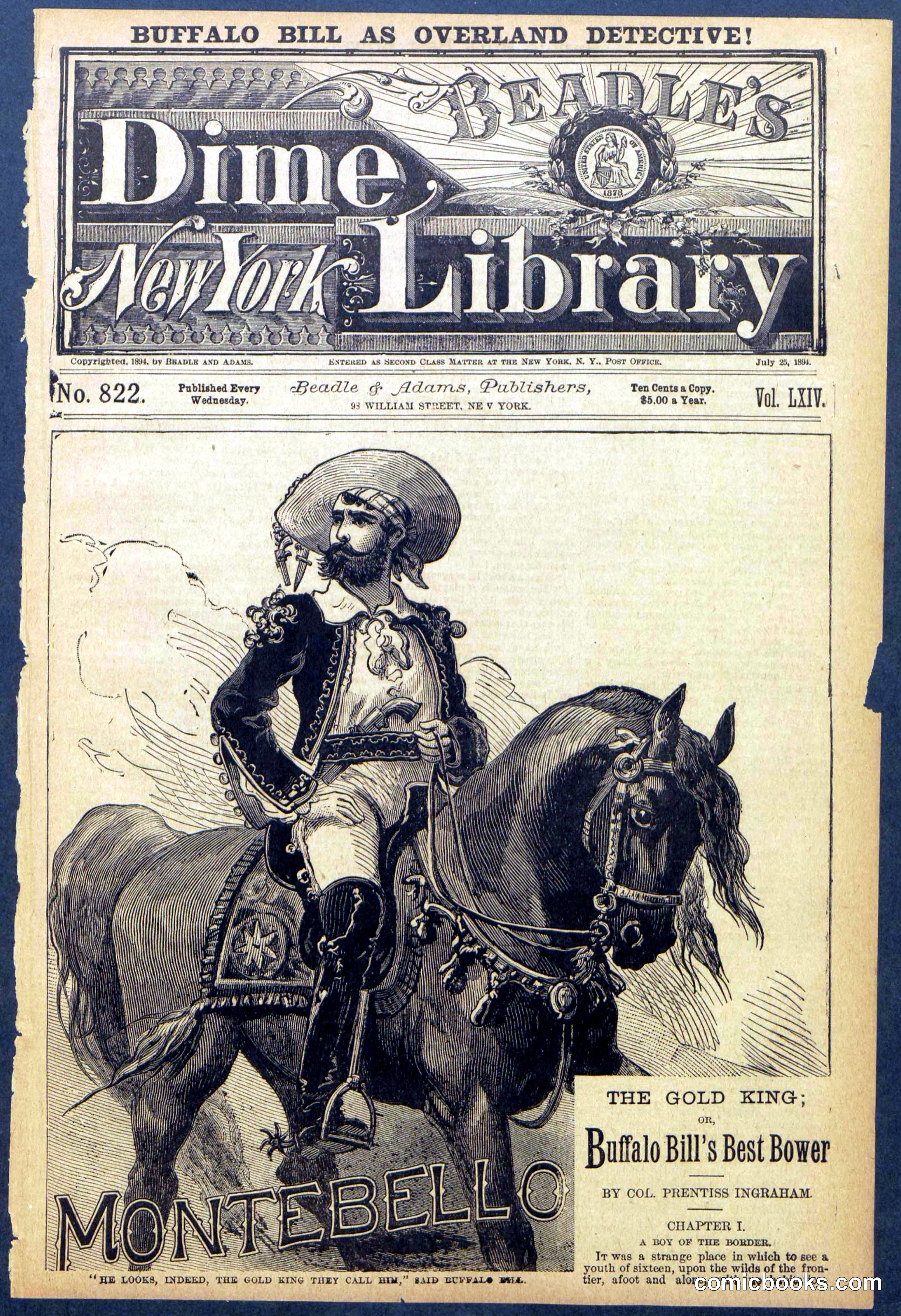 Beadle's Dime Library No. 822