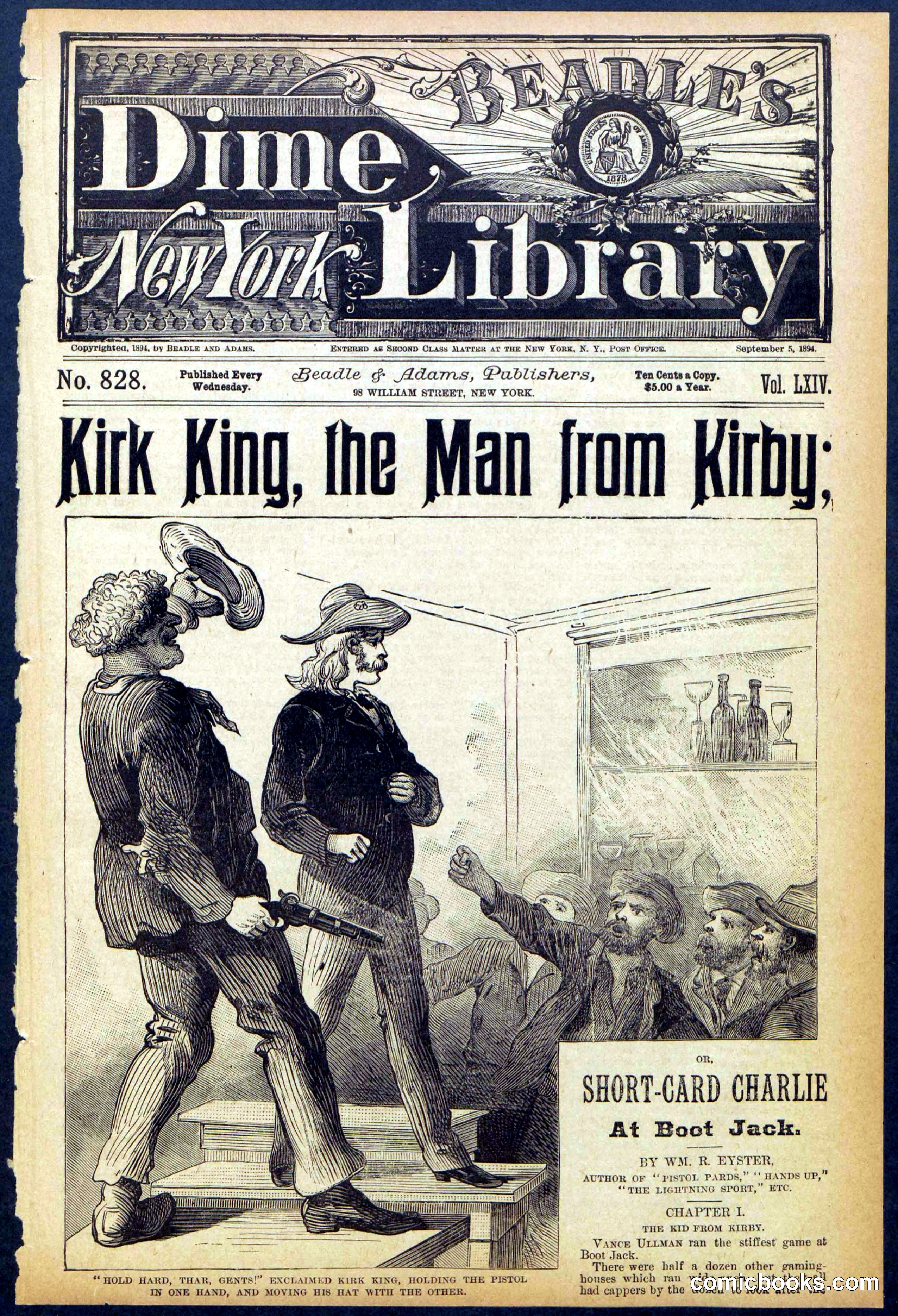 Beadle's Dime Library No. 828