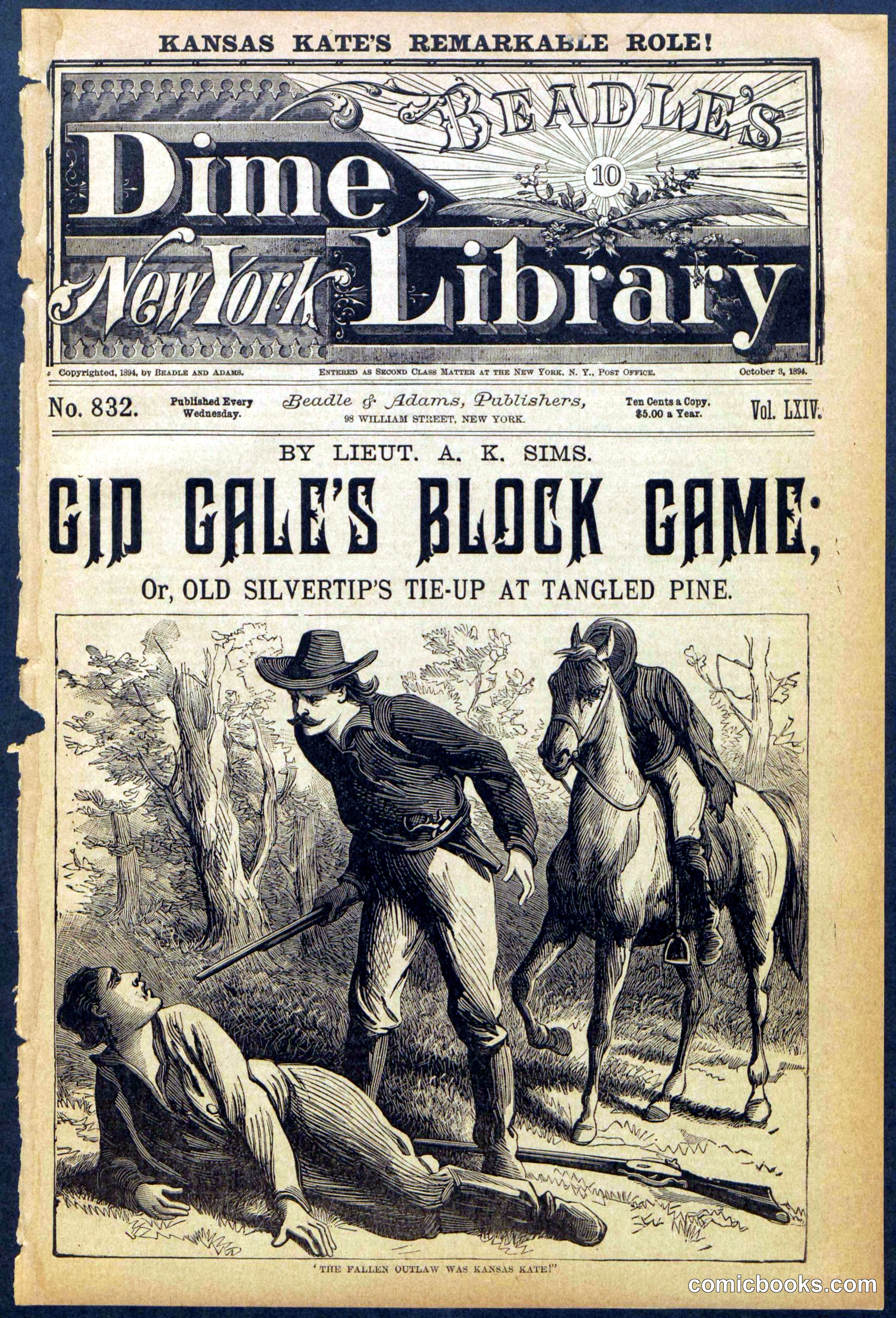 Beadle's New York Dime Library No. 832