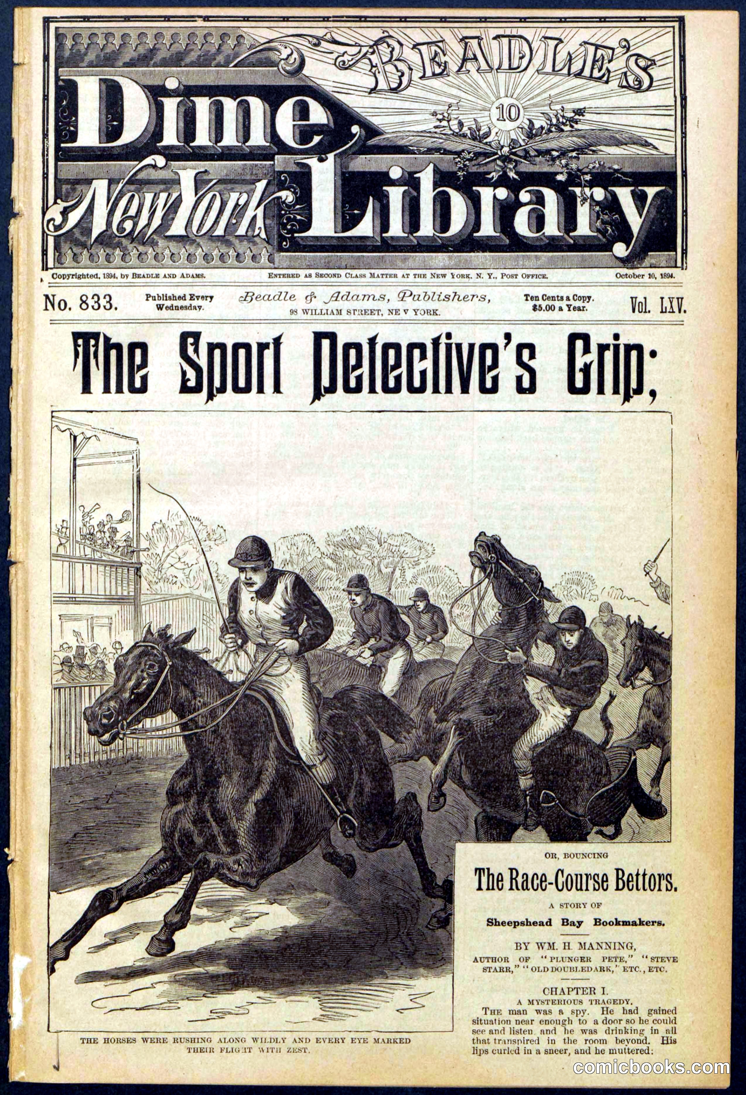 Beadle's New York Dime Library No. 833