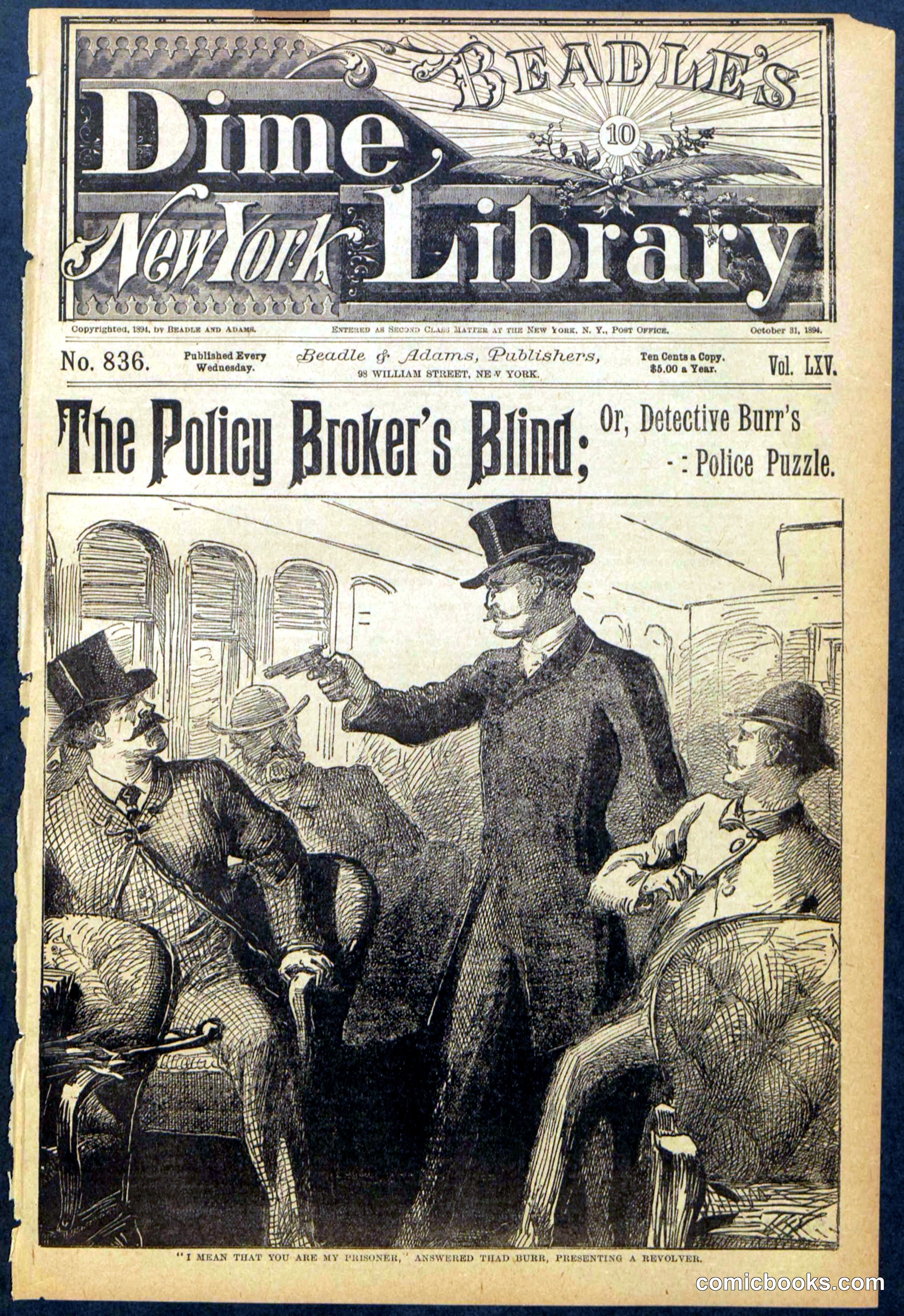The Policy Broker's Blind; or, Detective Burr's Police Puzzle