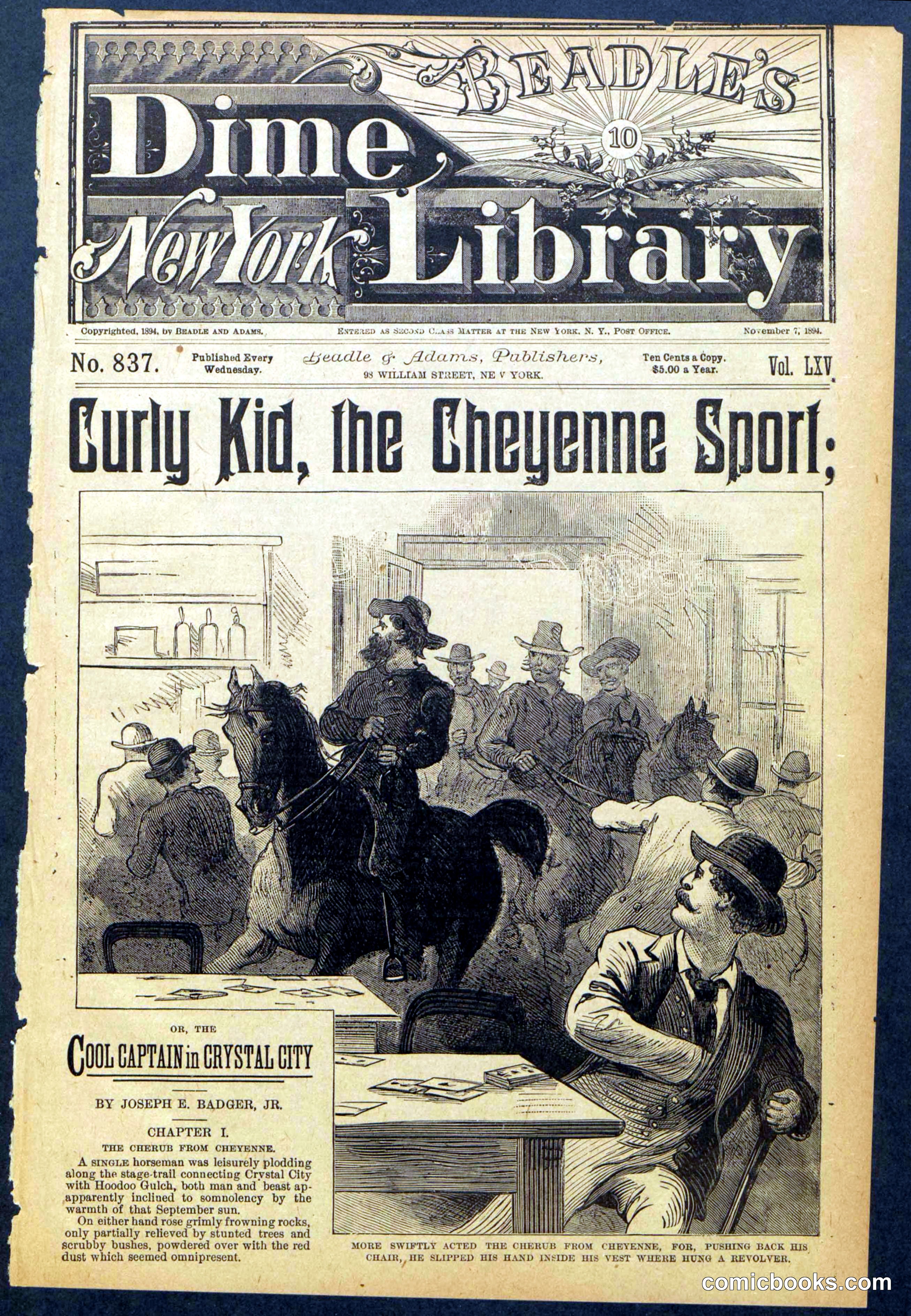 Beadle's New York Dime Library, No. 837