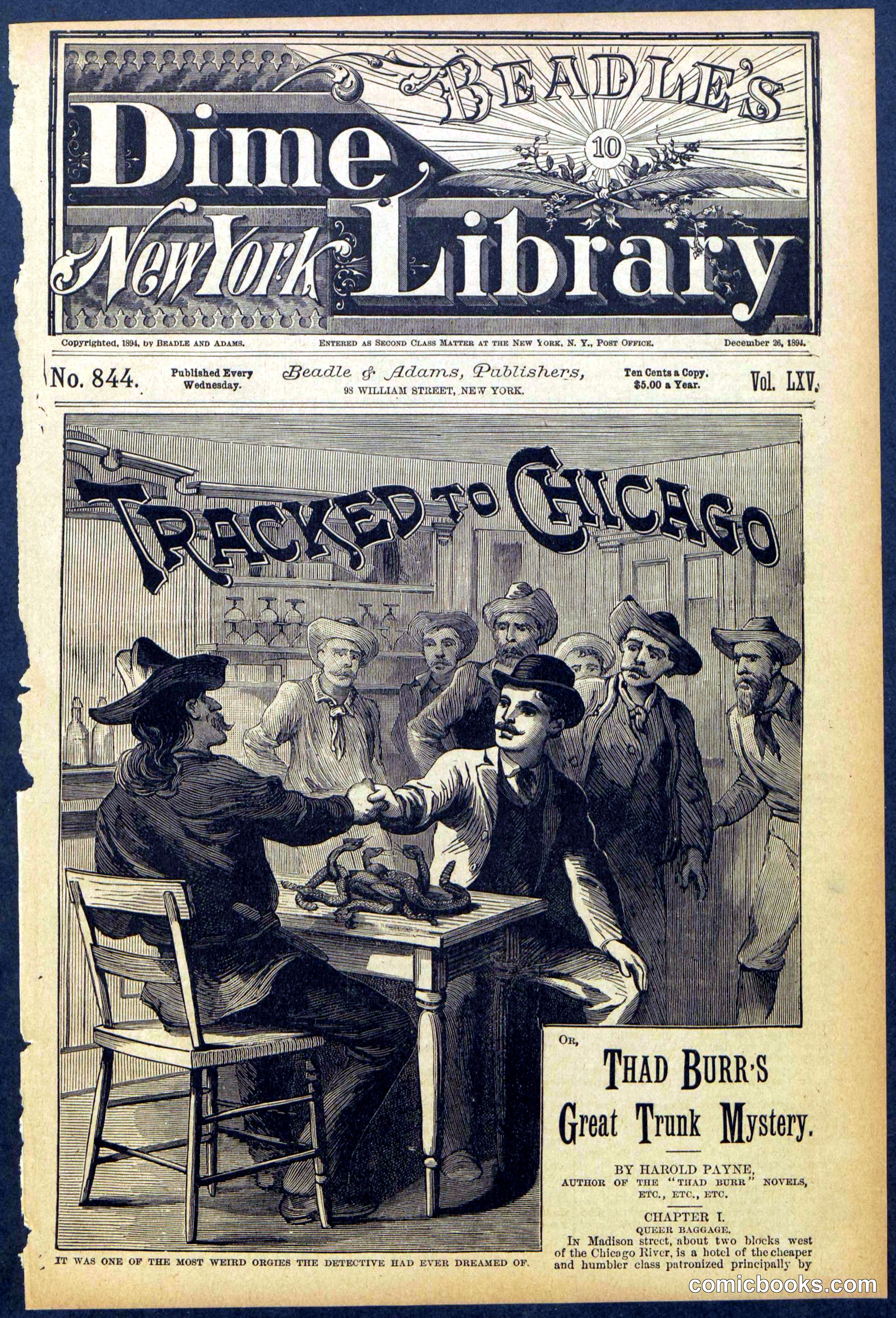 Beadle's New York Dime Library No. 844