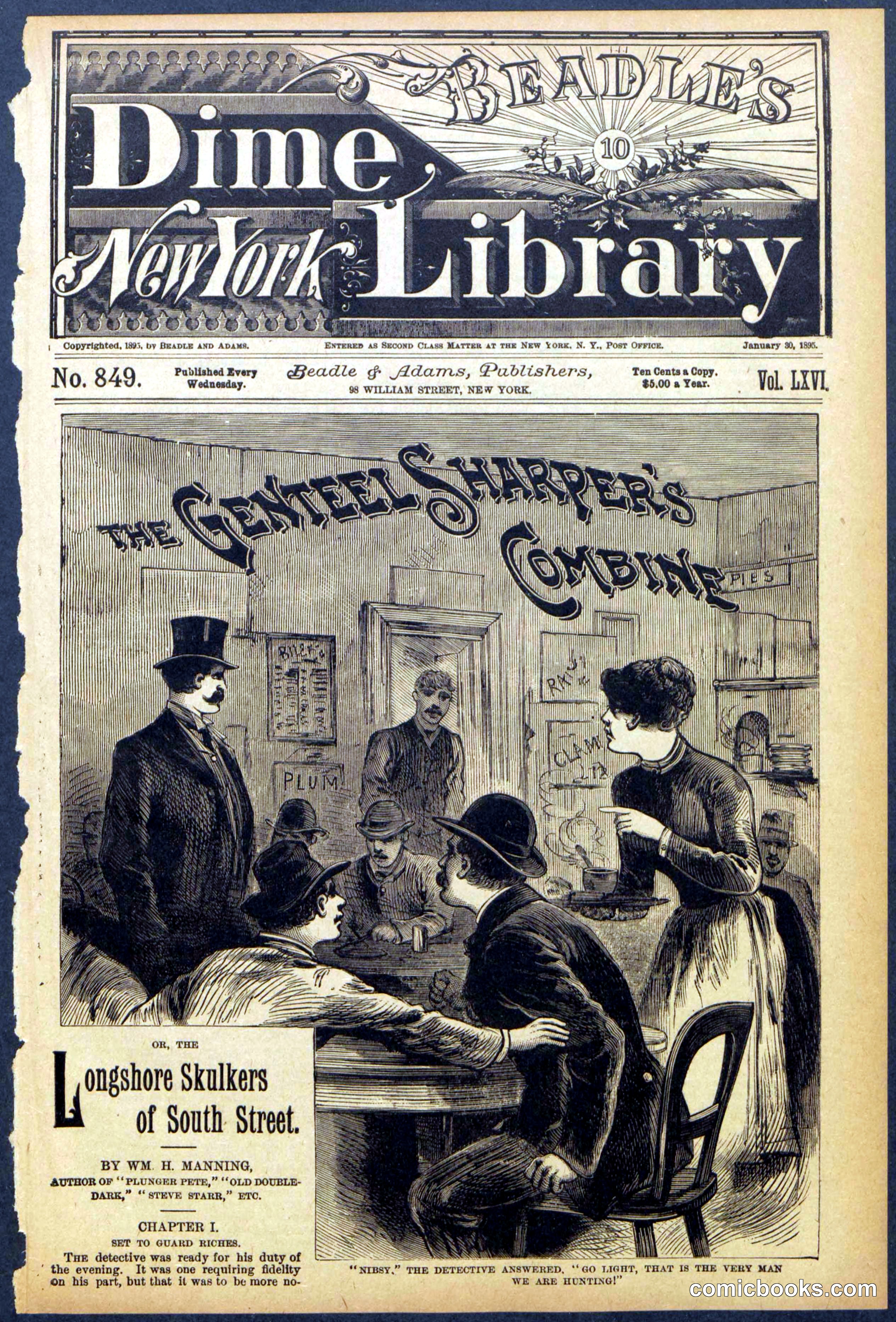 Beadle's Dime Library No. 849
