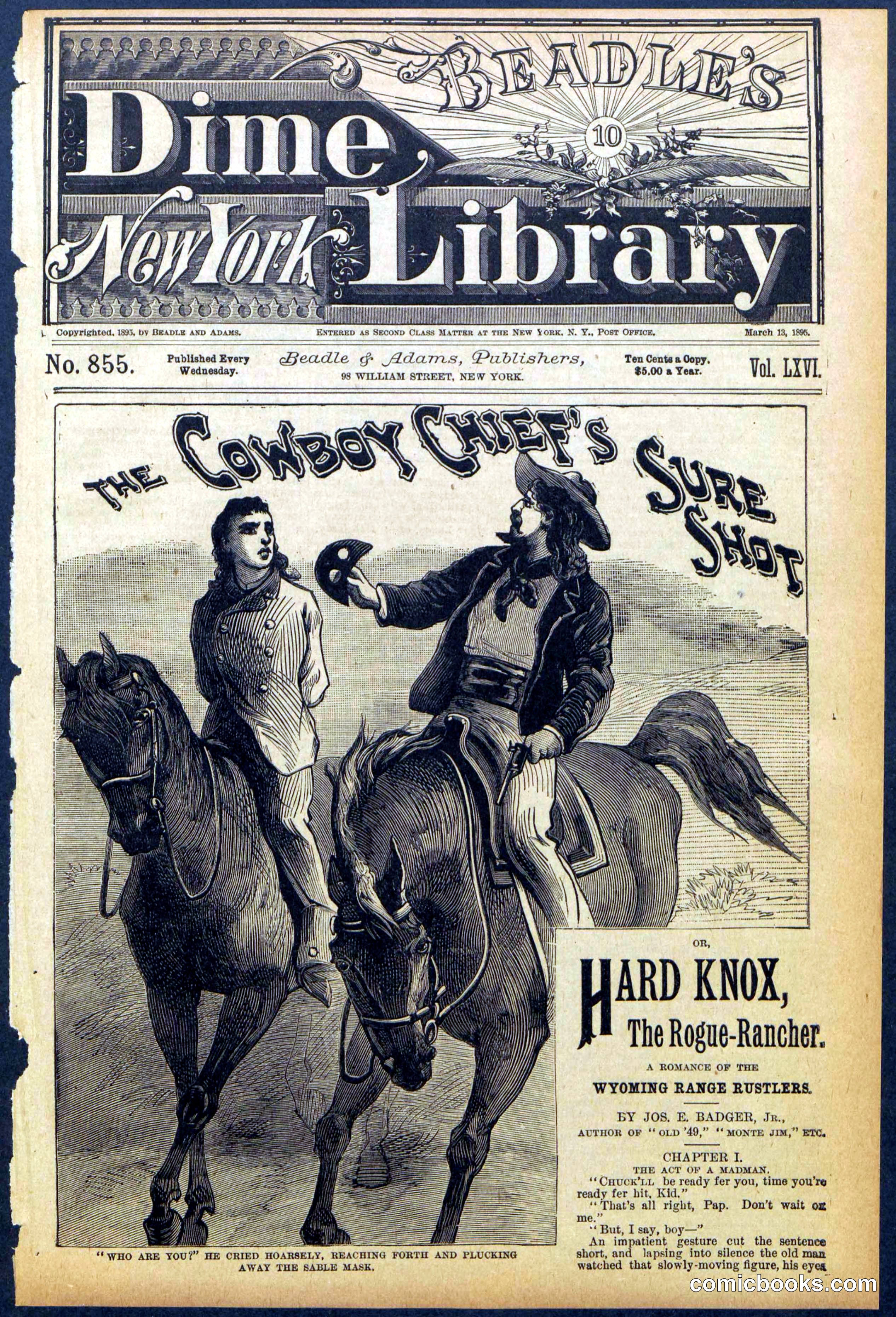 Beadle's Dime Library No. 855