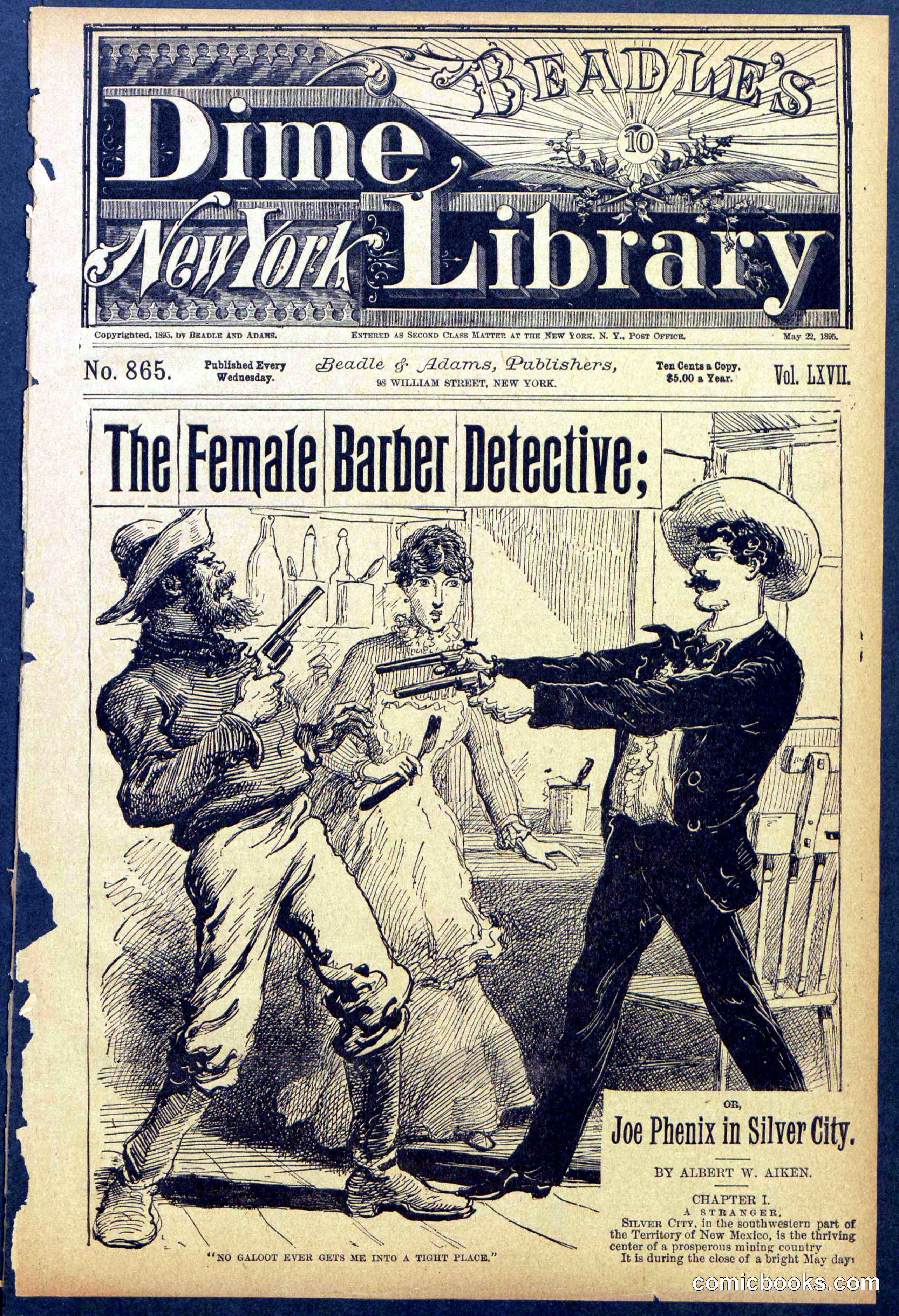 The Female Barber Detective