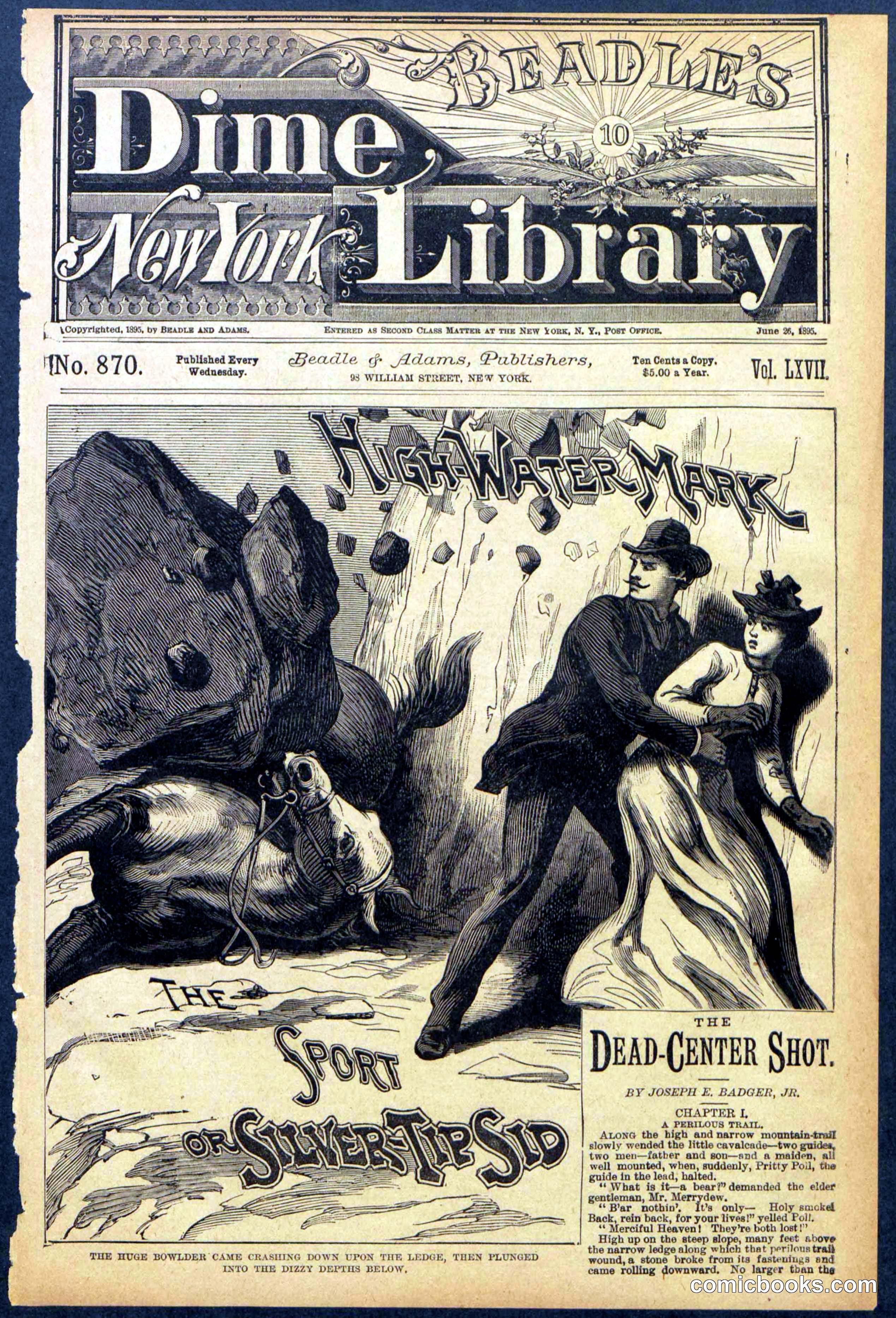 Beadle's New York Dime Library No. 870