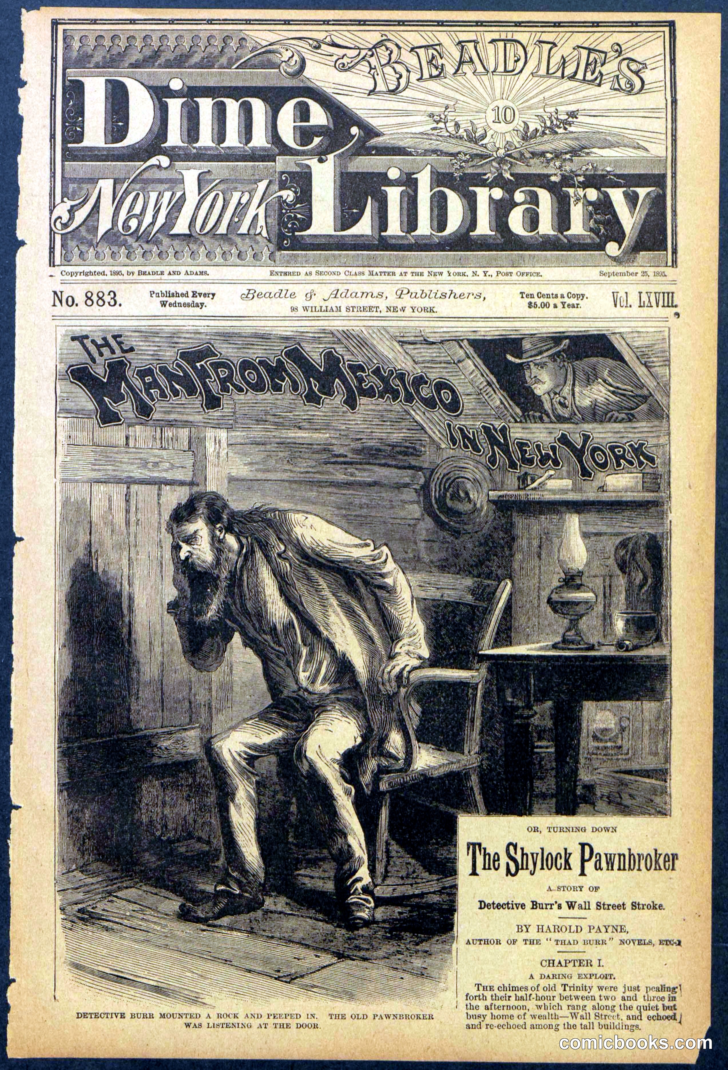 Beadle's New York Dime Library No. 883