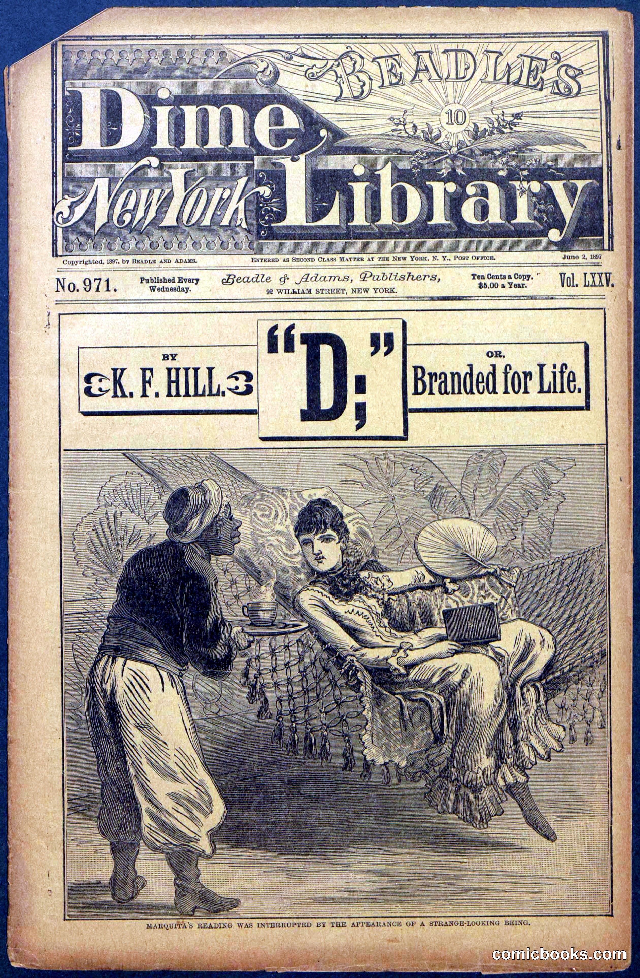 Beadle's New York Dime Library No. 971
