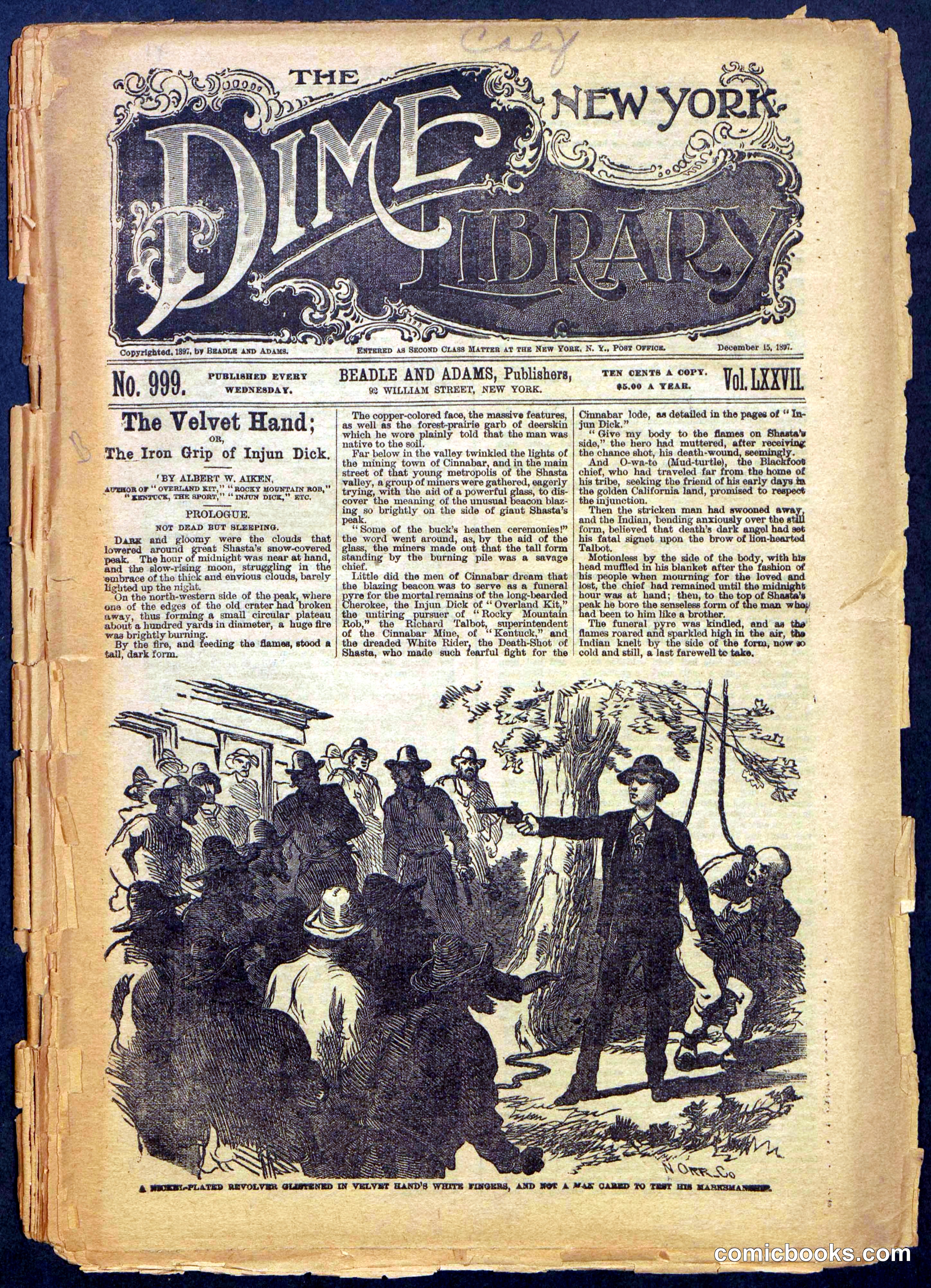 Beadle's New York Dime Library, No. 999