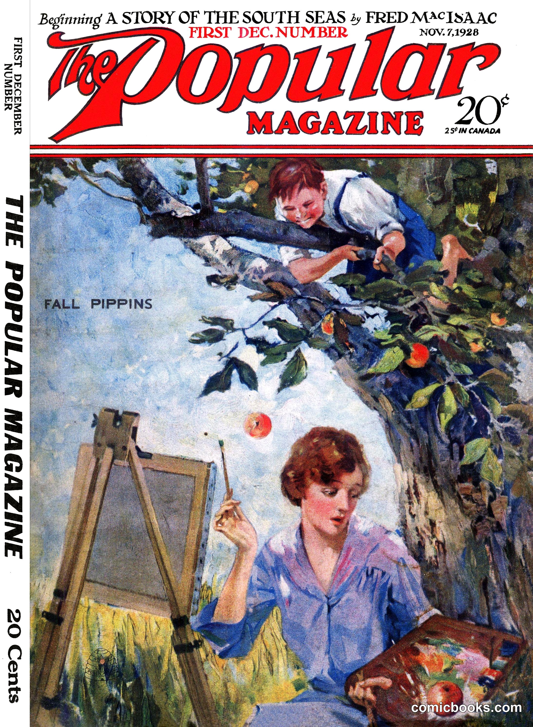 The Popular Magazine, November 1928