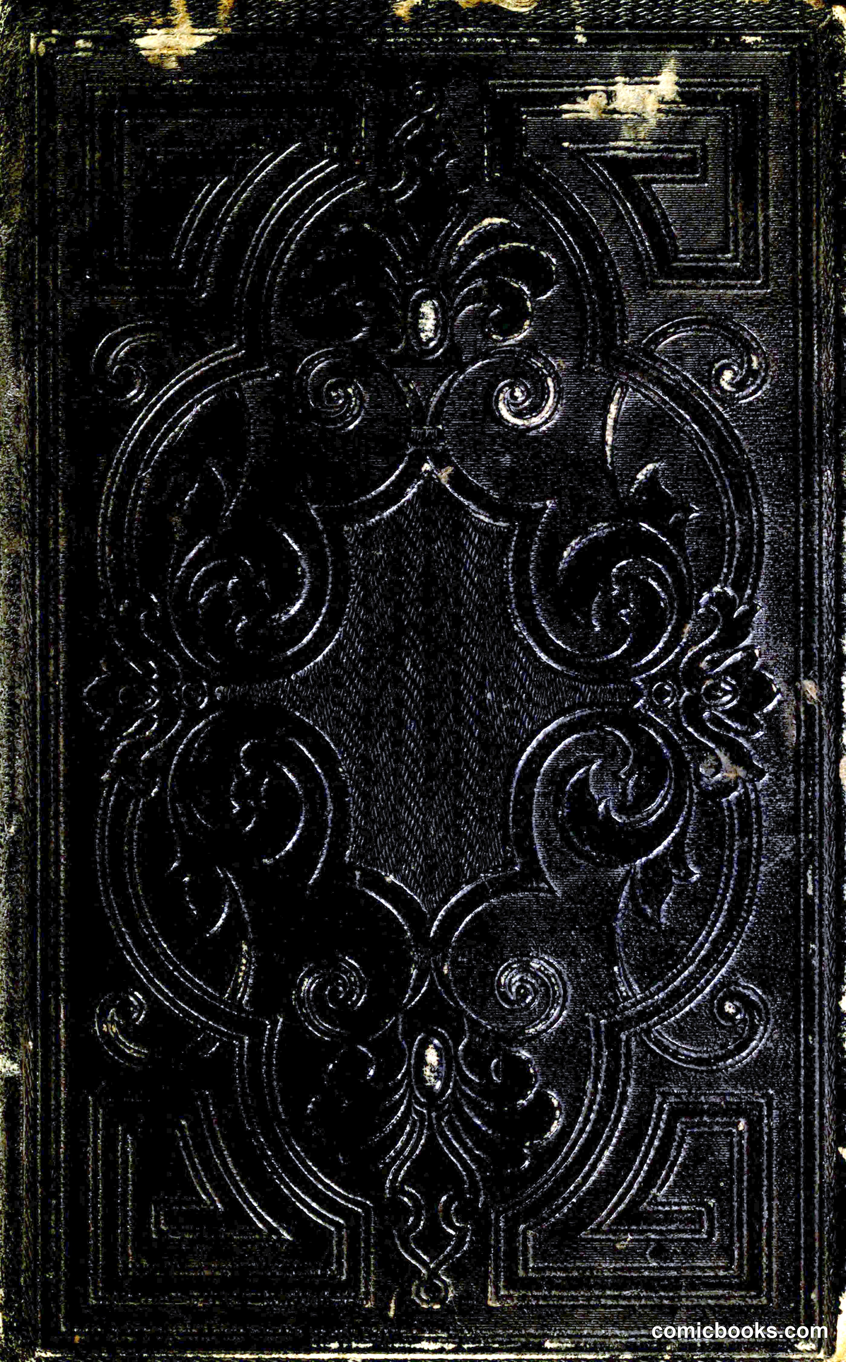 Thrilling Adventures of Hunters, in the Old World and the New