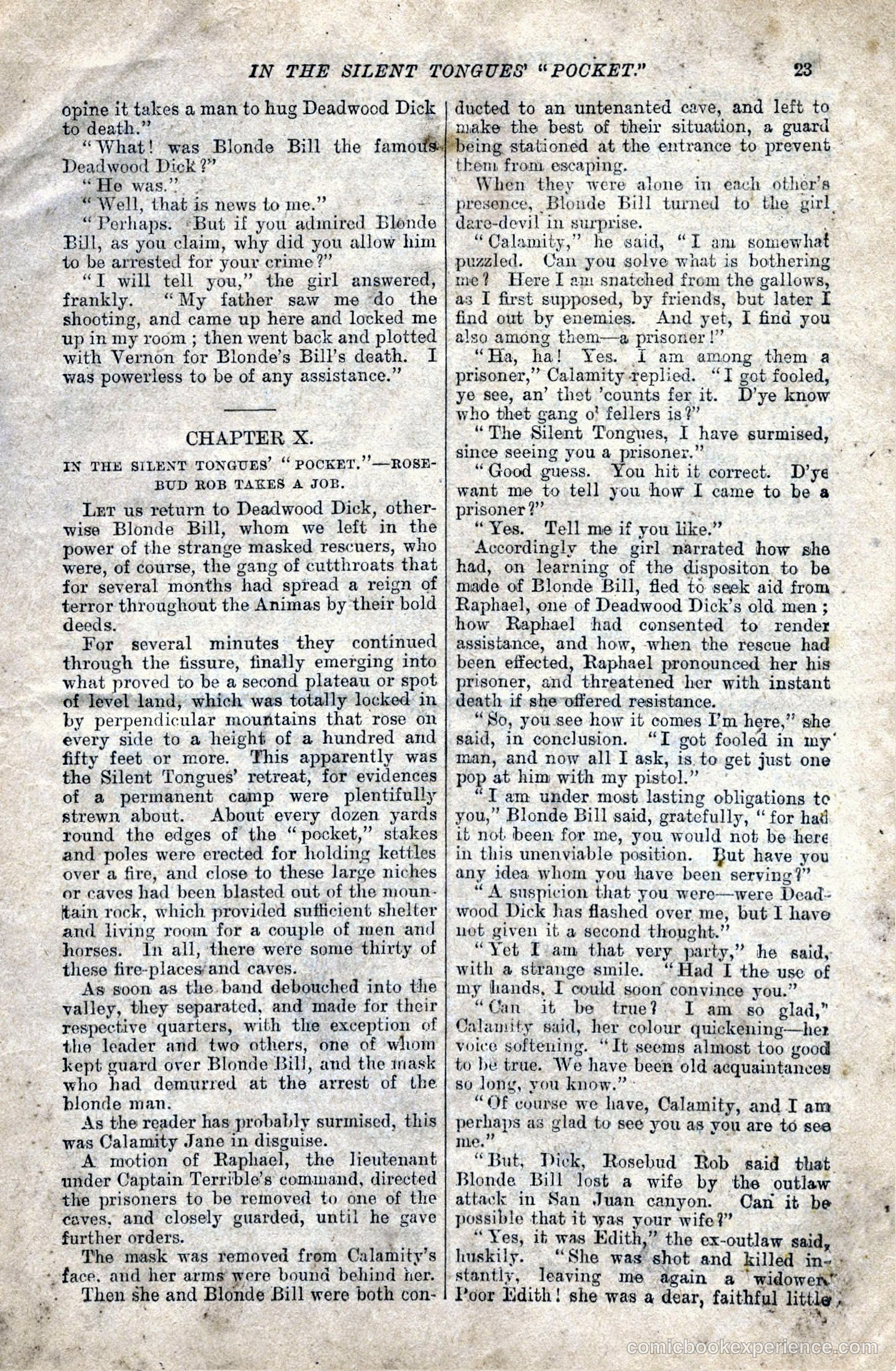 Deadwood Dick's Discovery — page 25 of 36