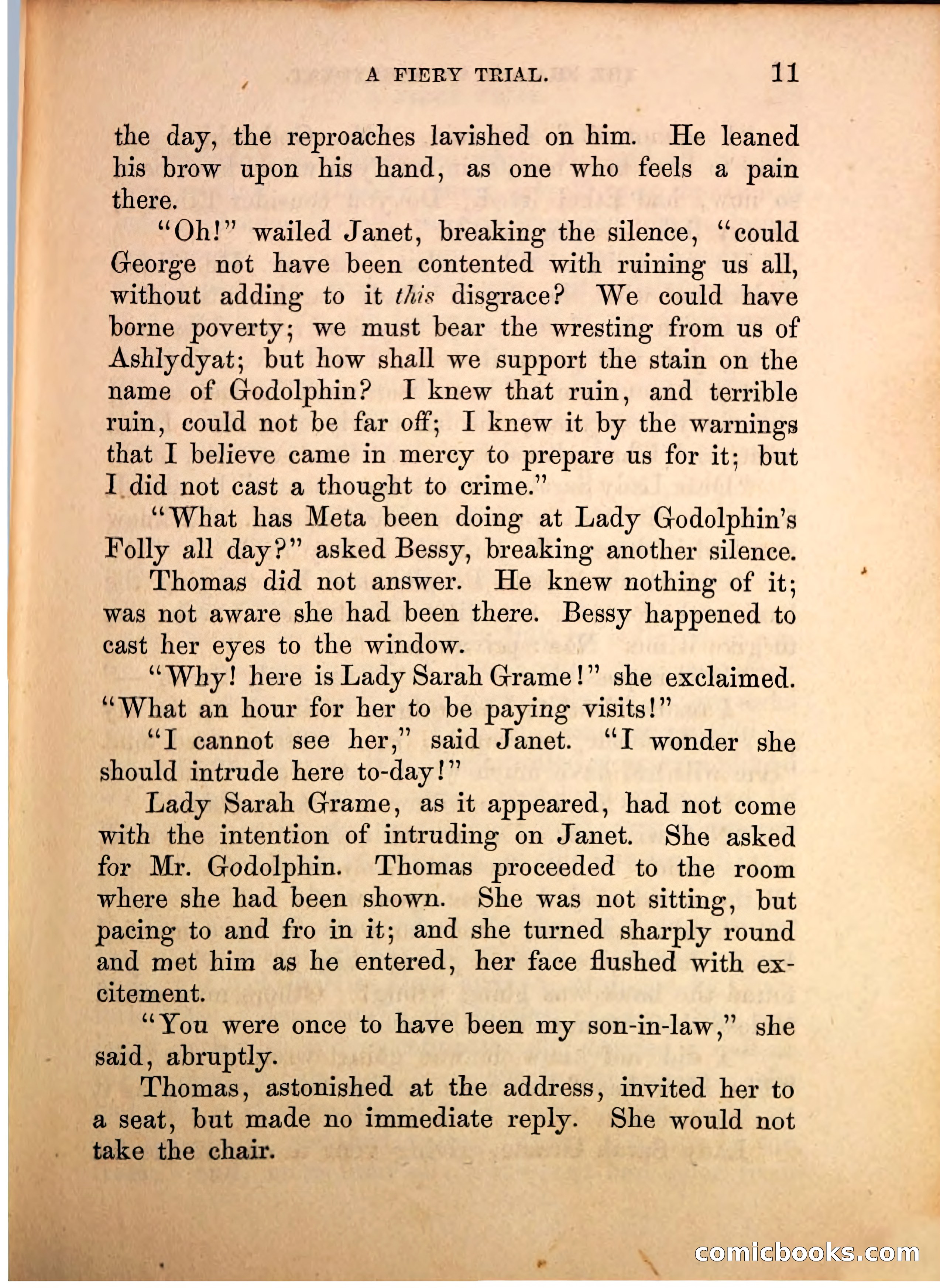 The Shadow of Ashlydyat, Vol. III — page 17 of 335