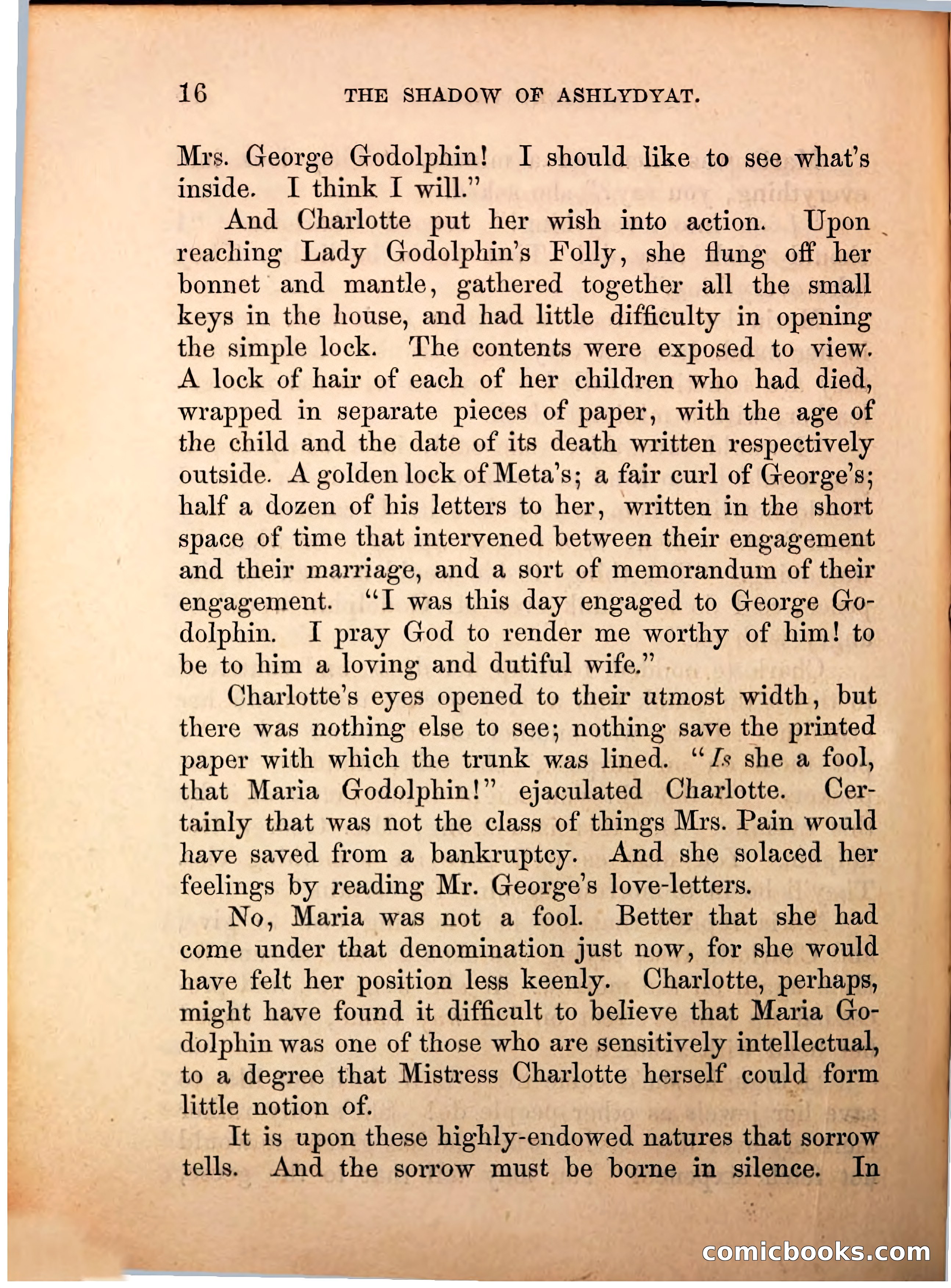 The Shadow of Ashlydyat, Vol. III — page 22 of 335
