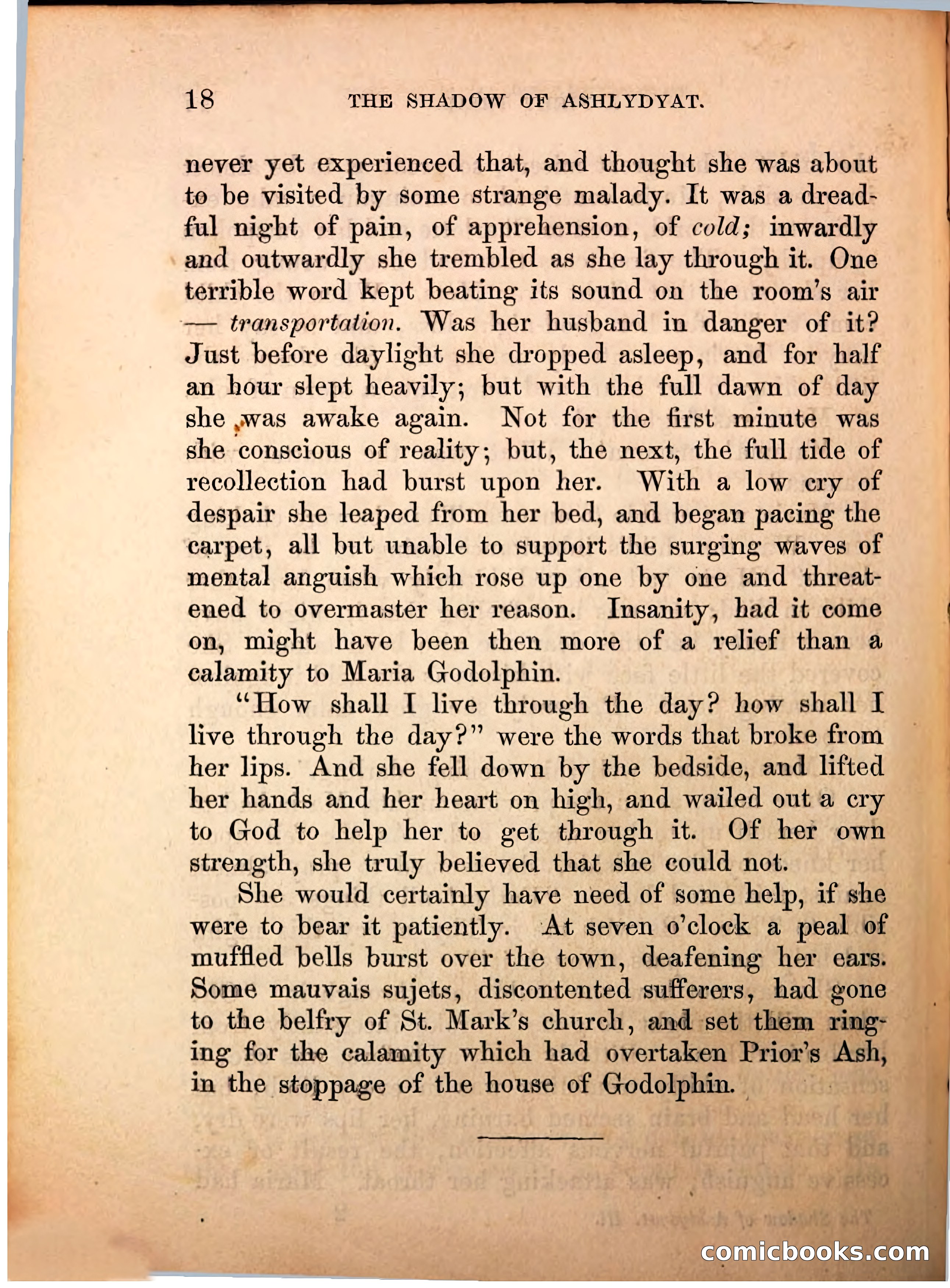 The Shadow of Ashlydyat, Vol. III — page 24 of 335