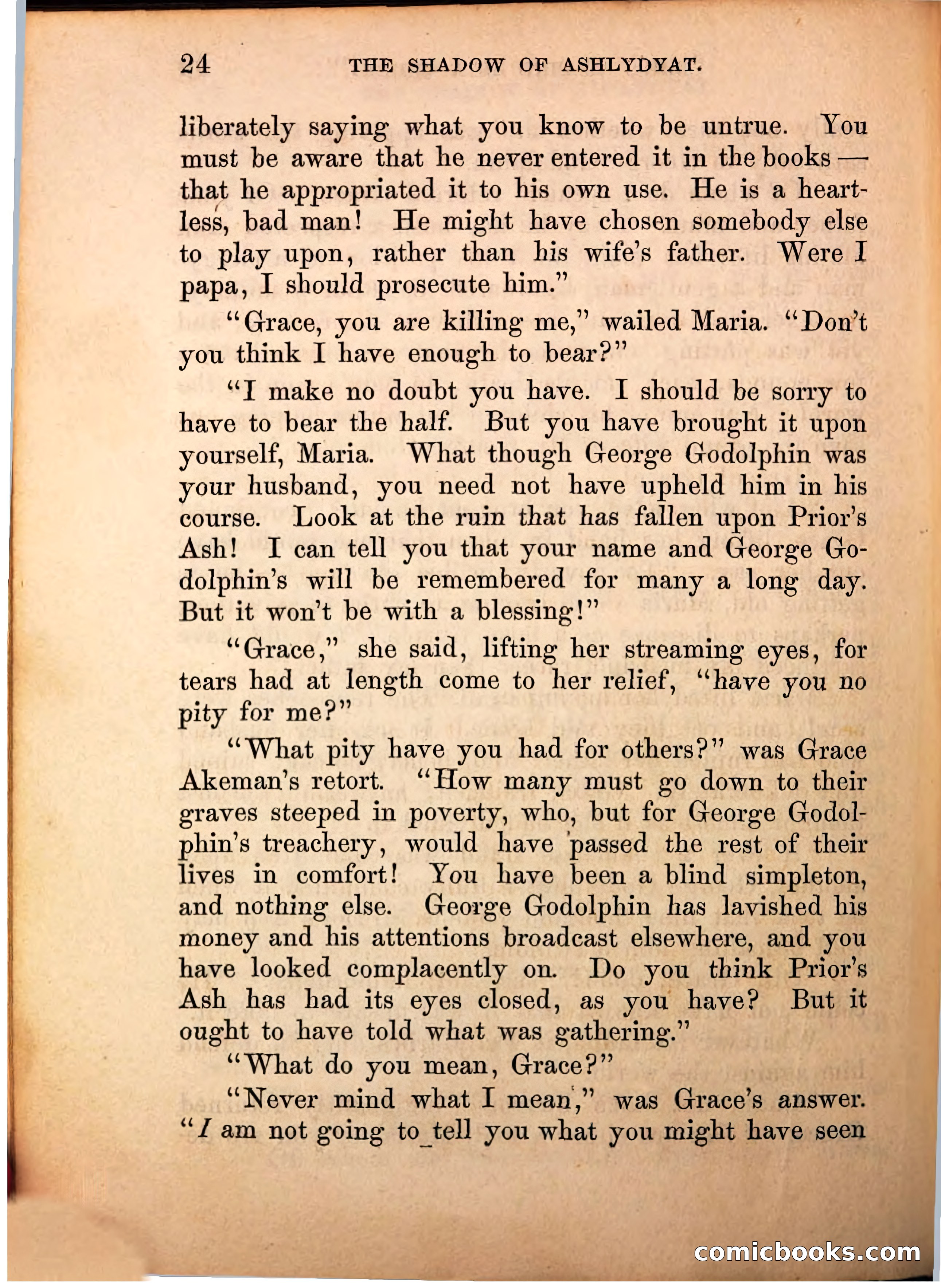 The Shadow of Ashlydyat, Vol. III — page 30 of 335