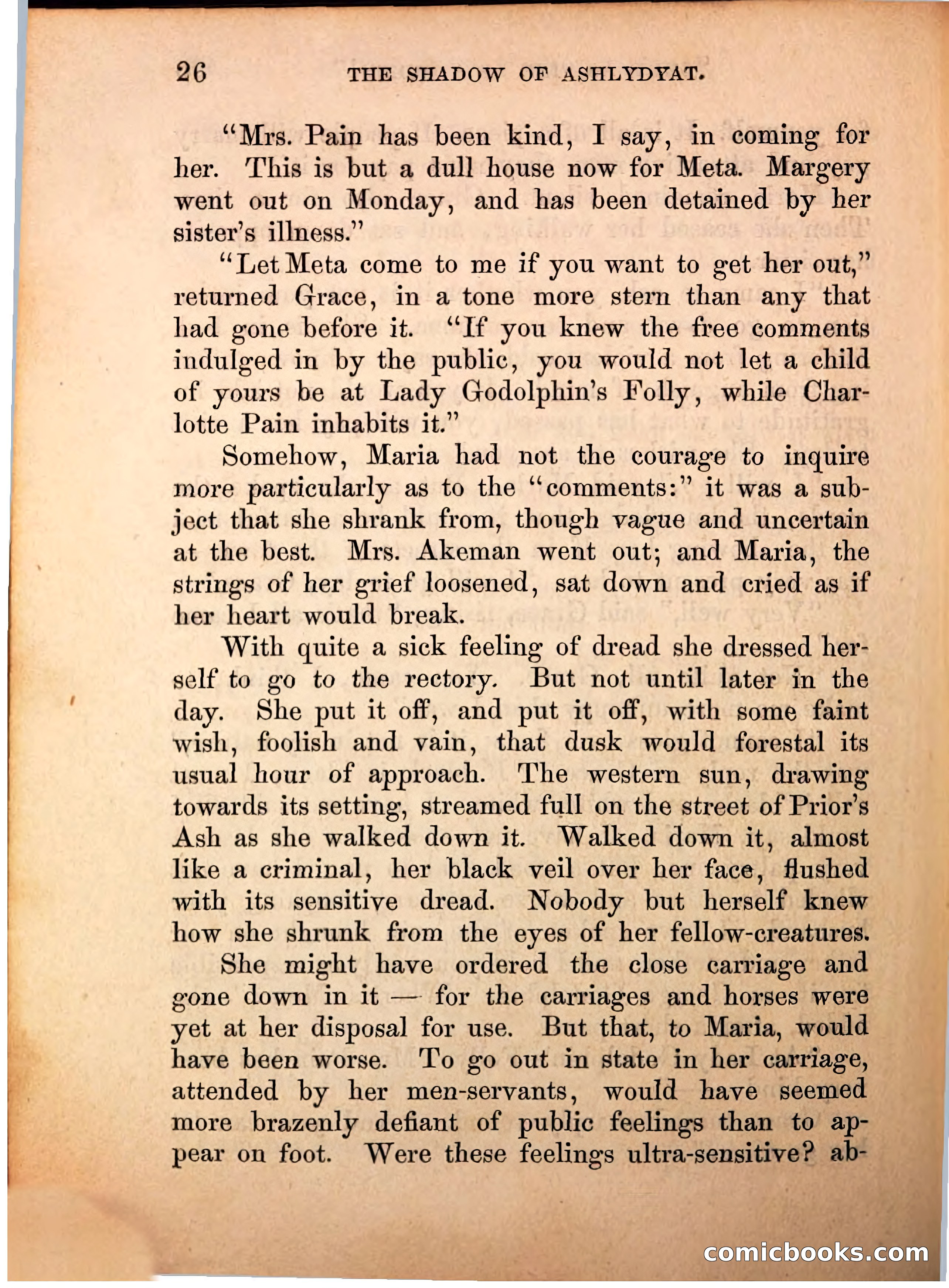 The Shadow of Ashlydyat, Vol. III — page 32 of 335