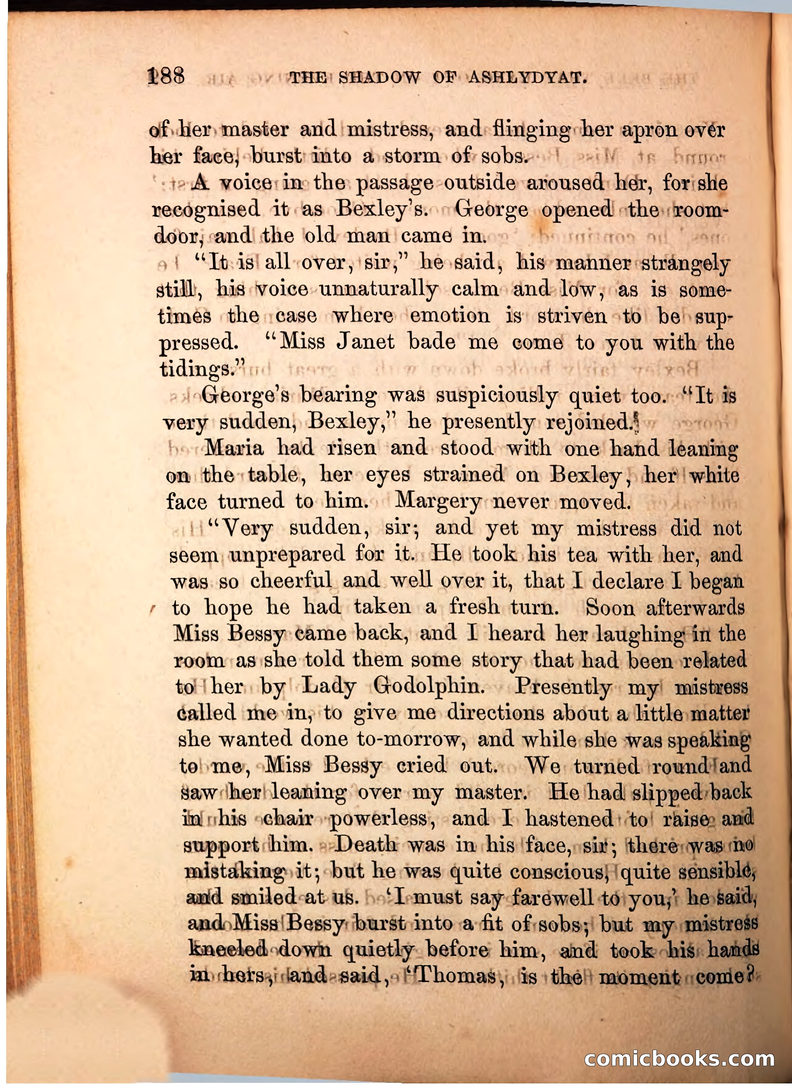 The Shadow of Ashlydyat, Vol. III — page 194 of 335