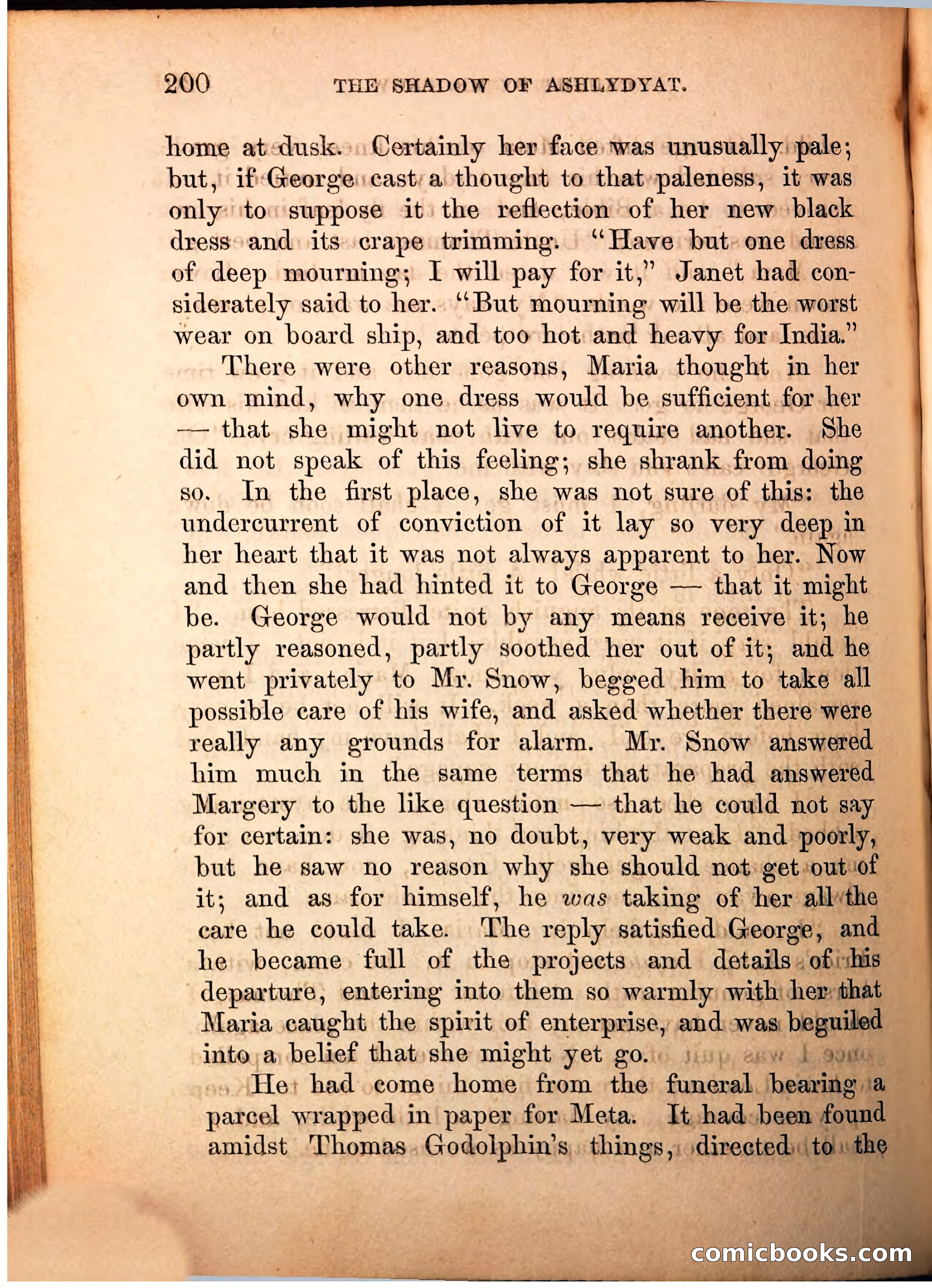 The Shadow of Ashlydyat, Vol. III — page 206 of 335