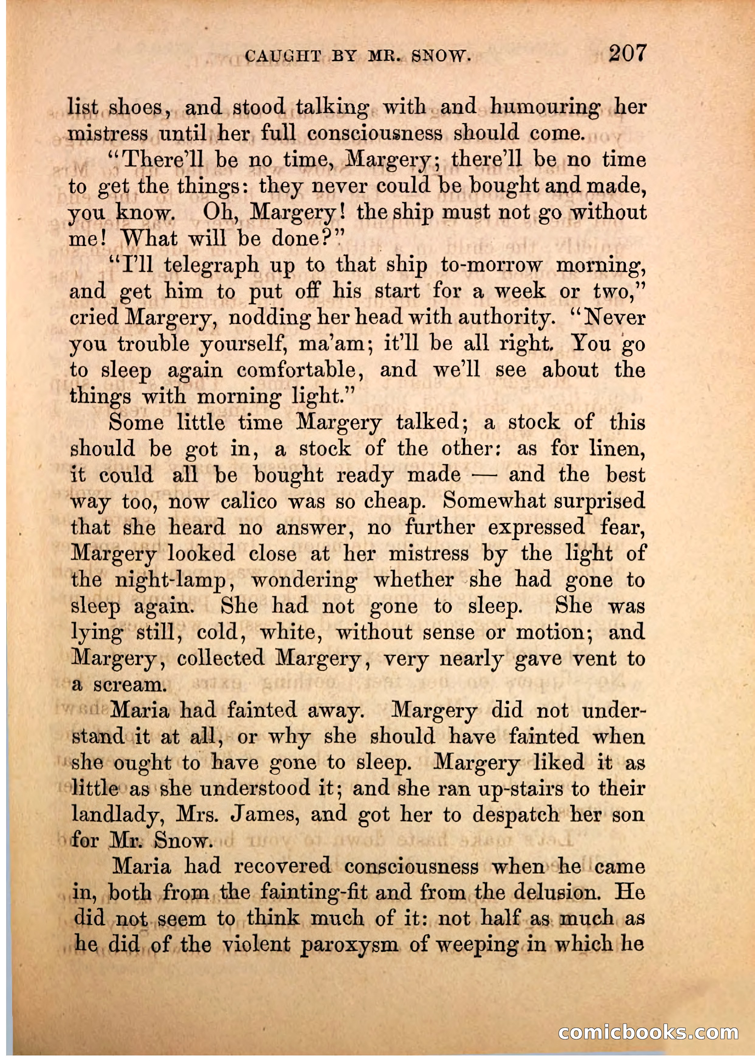 The Shadow of Ashlydyat, Vol. III — page 213 of 335