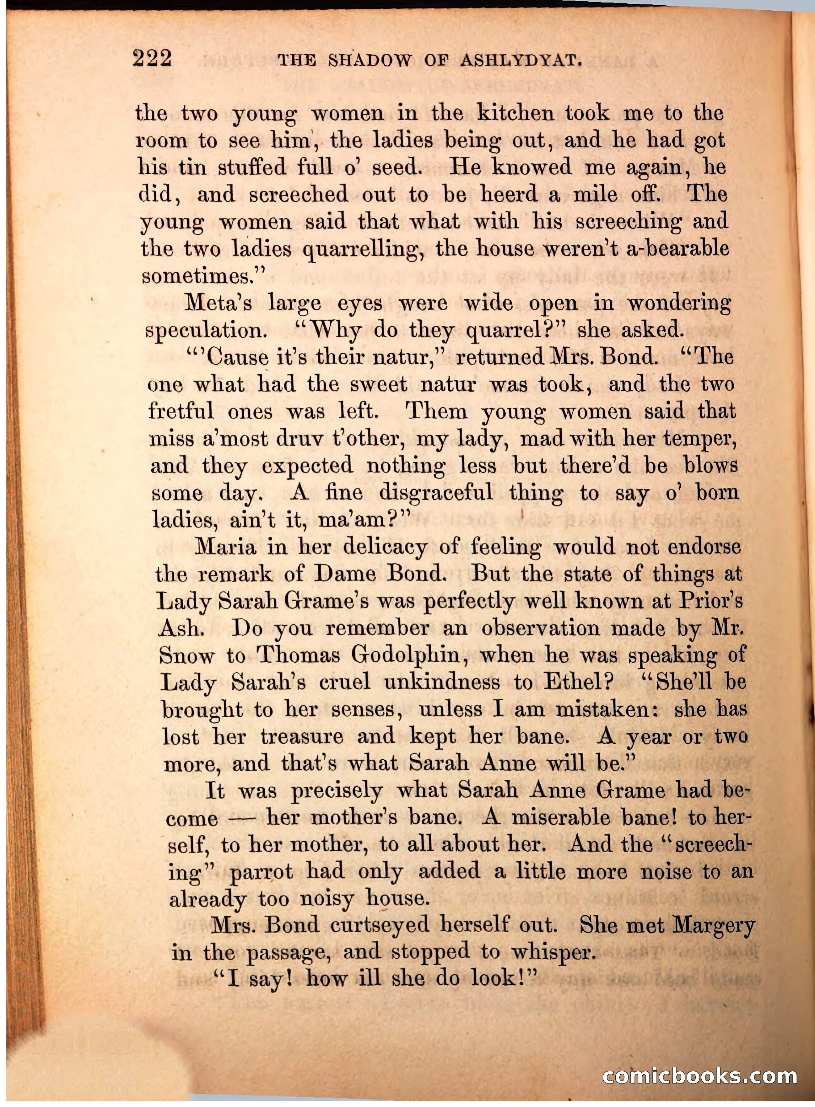 The Shadow of Ashlydyat, Vol. III — page 228 of 335