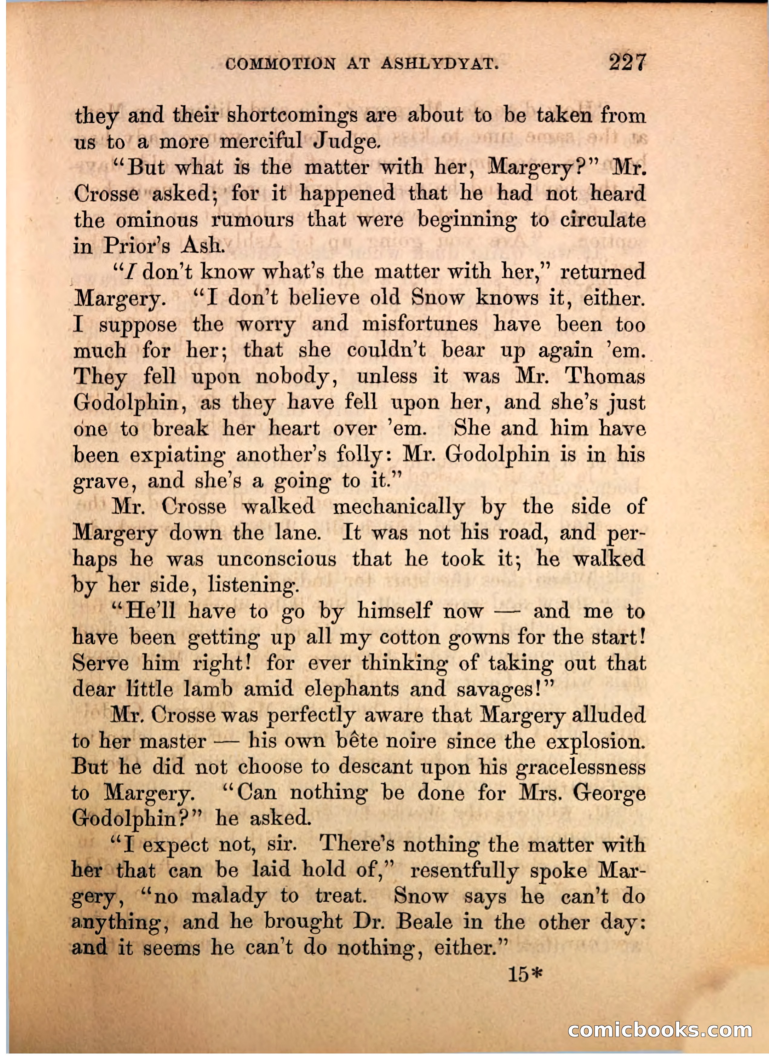 The Shadow of Ashlydyat, Vol. III — page 233 of 335