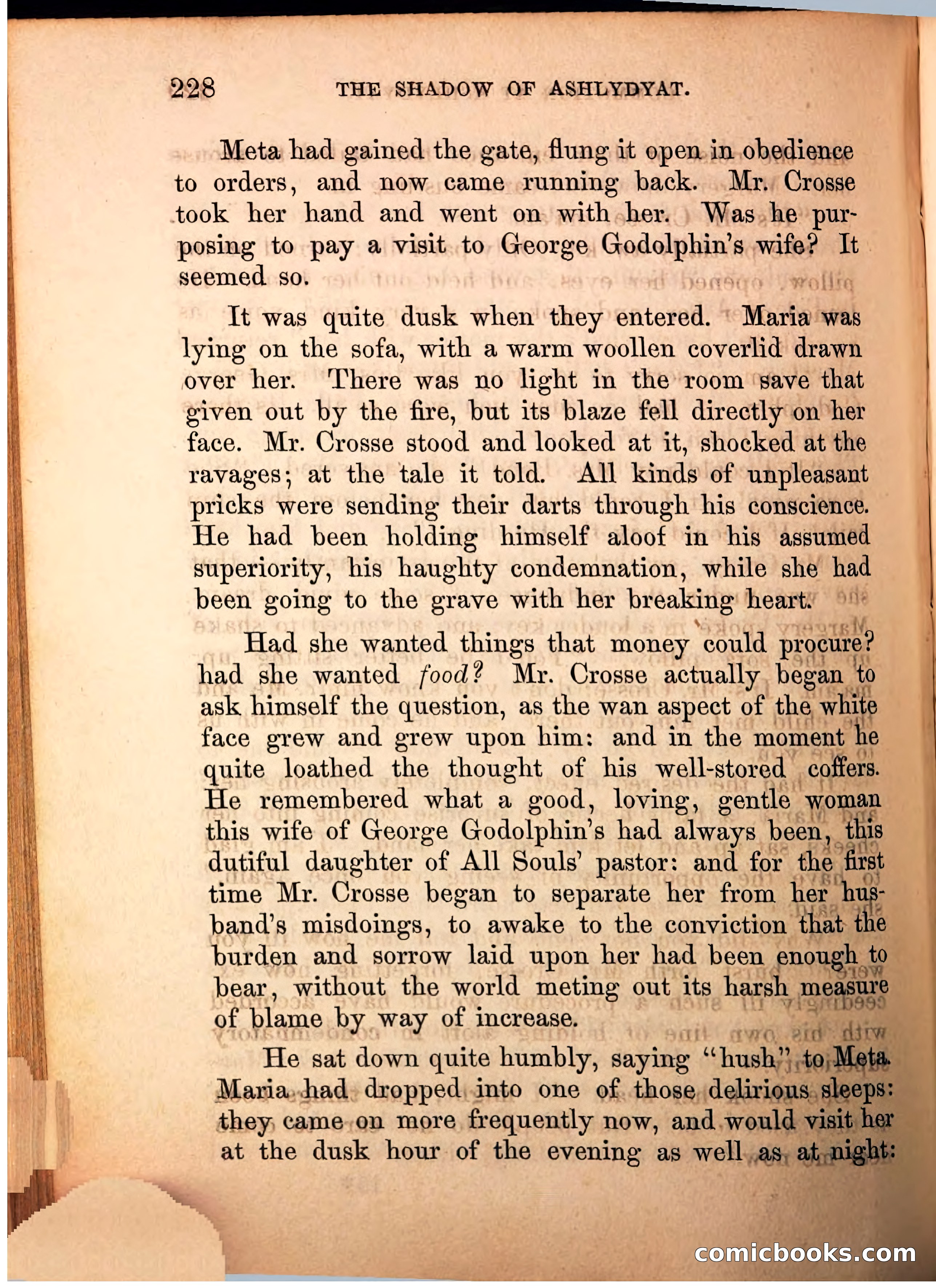 The Shadow of Ashlydyat, Vol. III — page 234 of 335