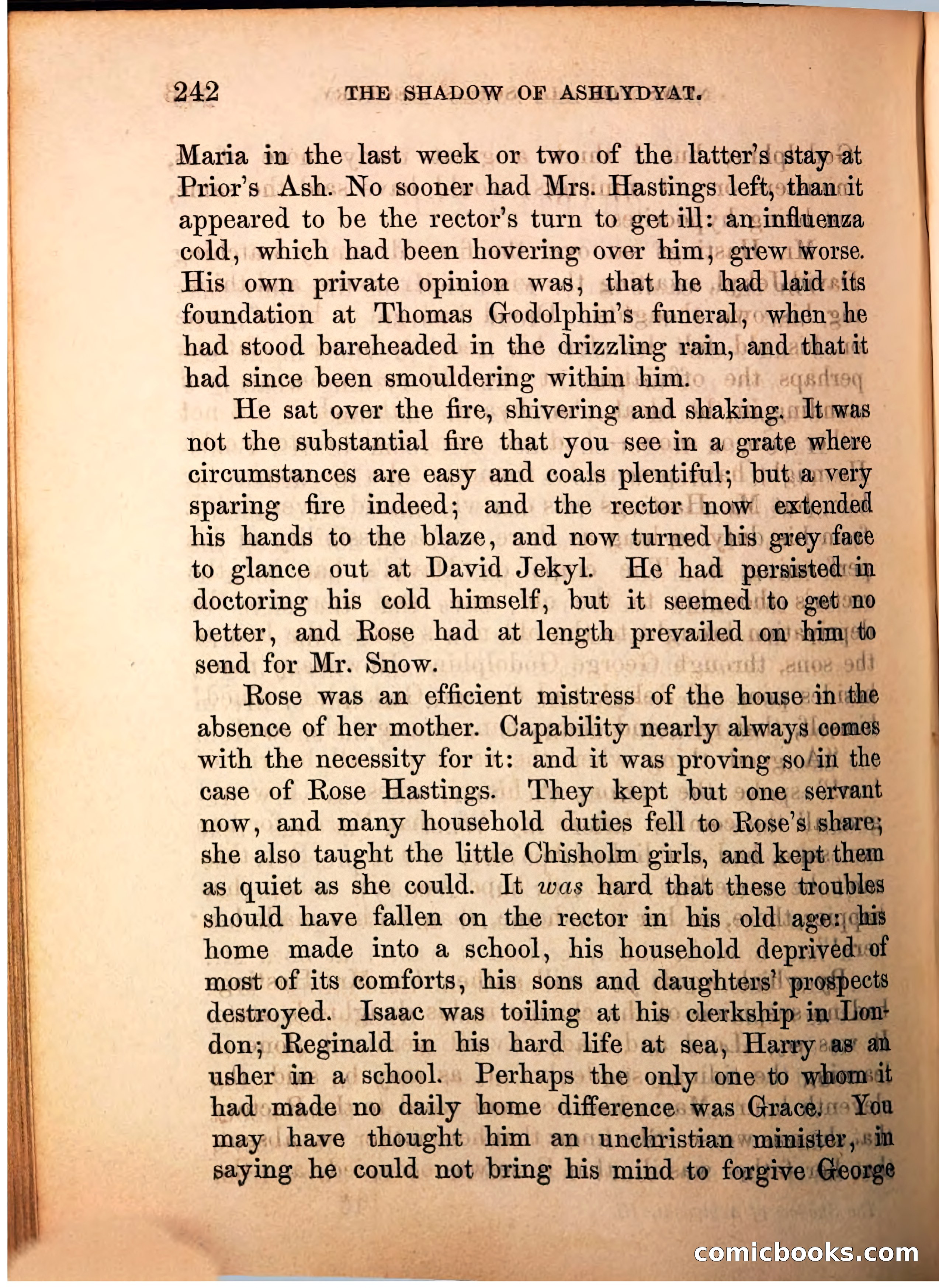 The Shadow of Ashlydyat, Vol. III — page 248 of 335