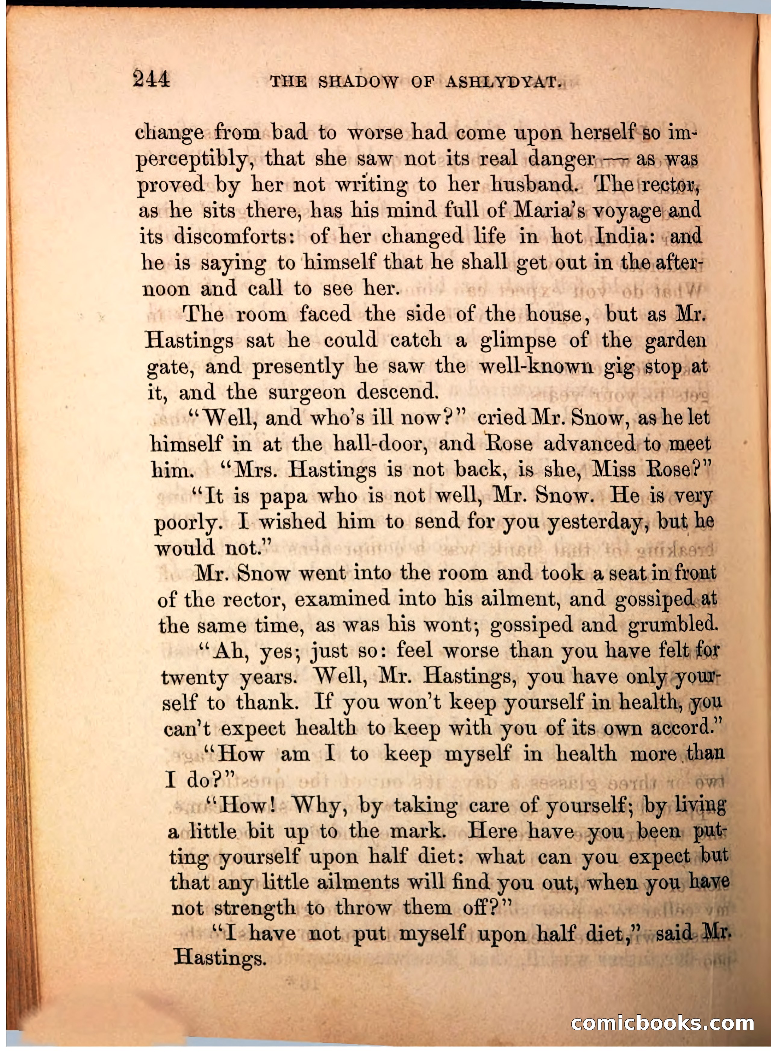 The Shadow of Ashlydyat, Vol. III — page 250 of 335