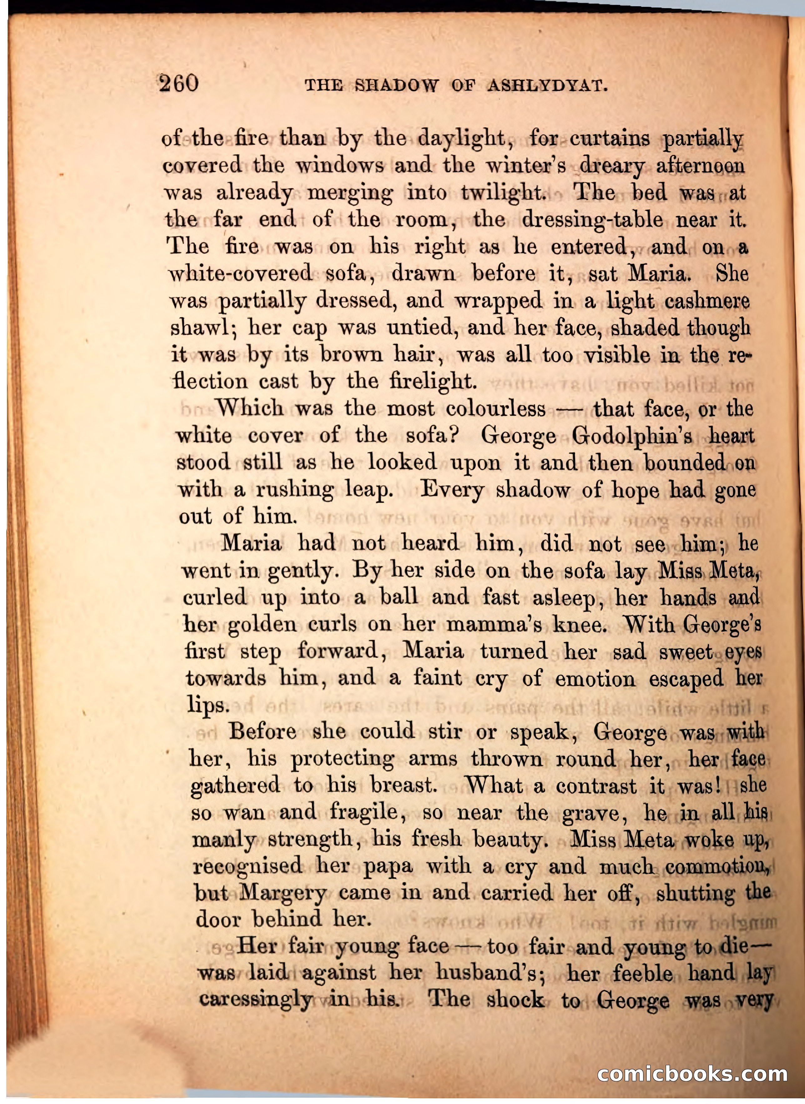 The Shadow of Ashlydyat, Vol. III — page 266 of 335