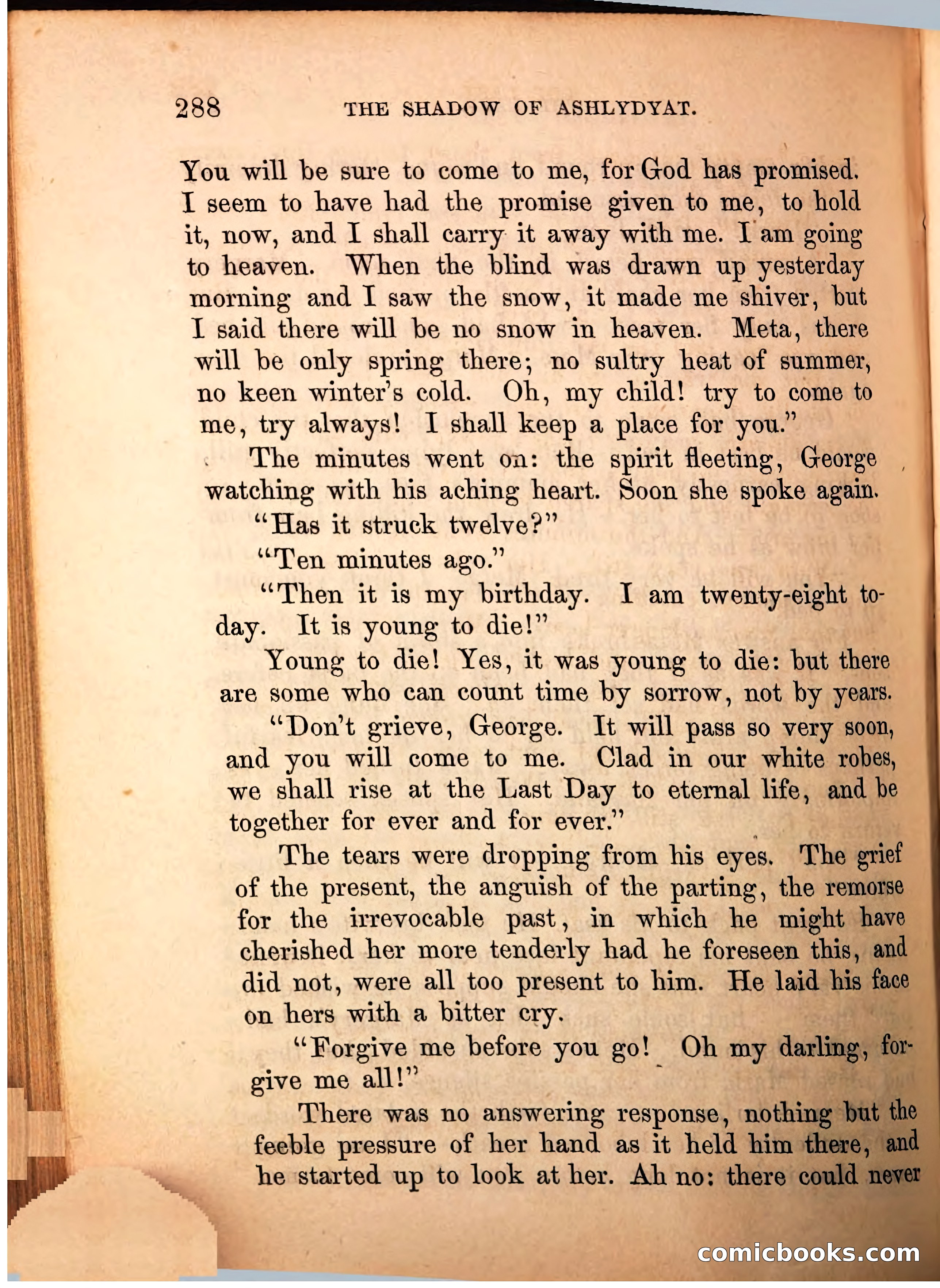 The Shadow of Ashlydyat, Vol. III — page 294 of 335