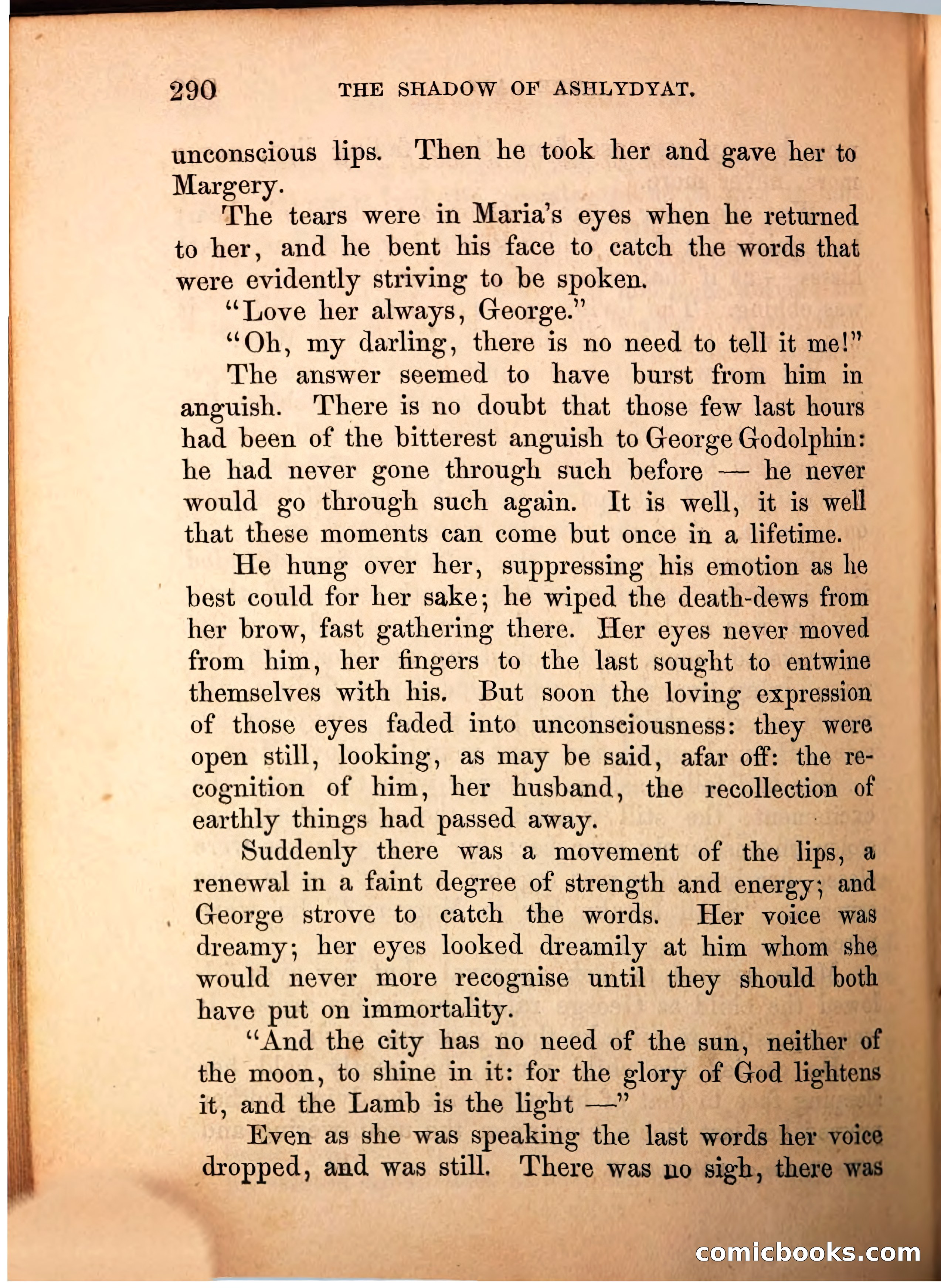The Shadow of Ashlydyat, Vol. III — page 296 of 335