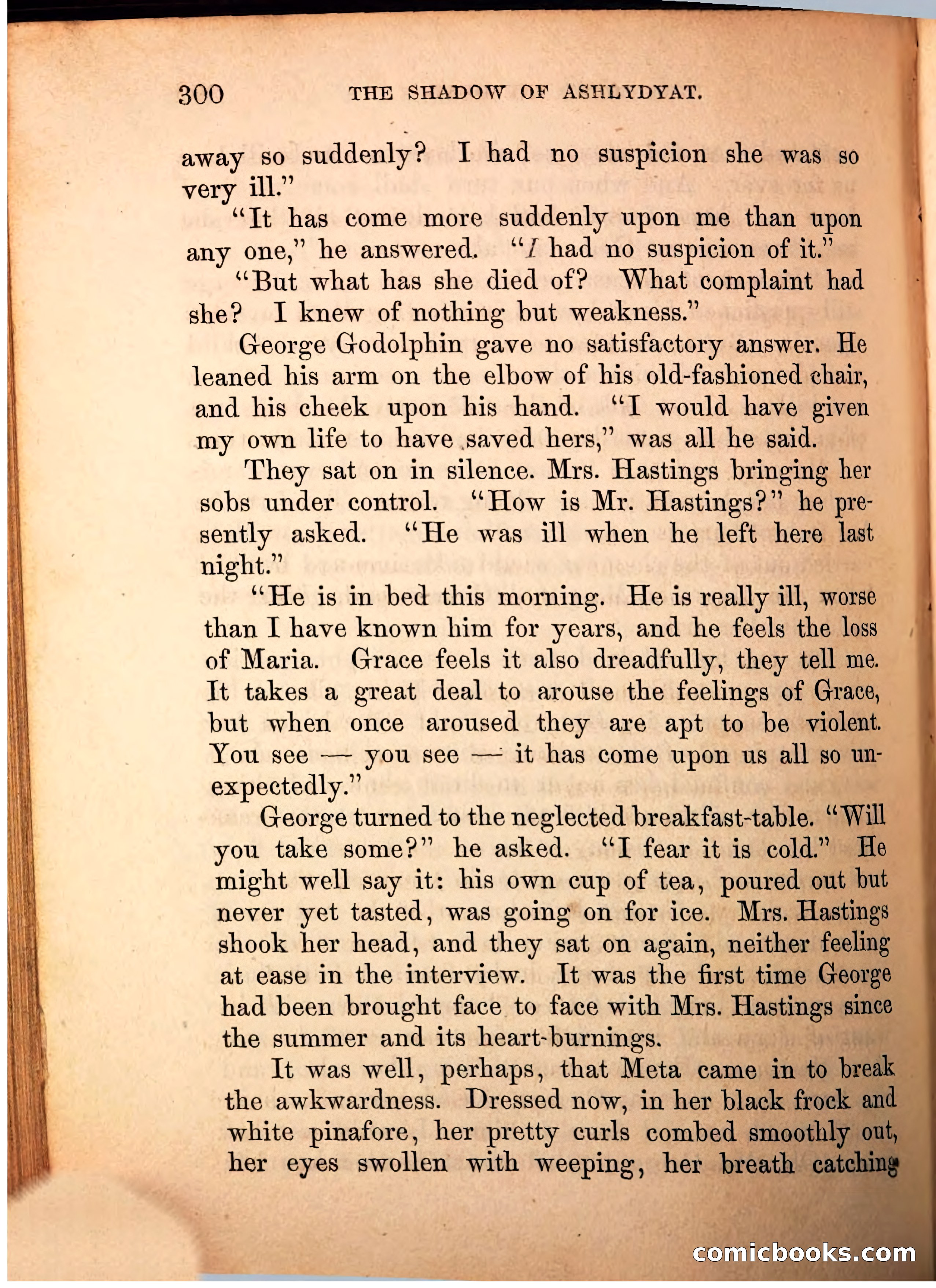 The Shadow of Ashlydyat, Vol. III — page 306 of 335