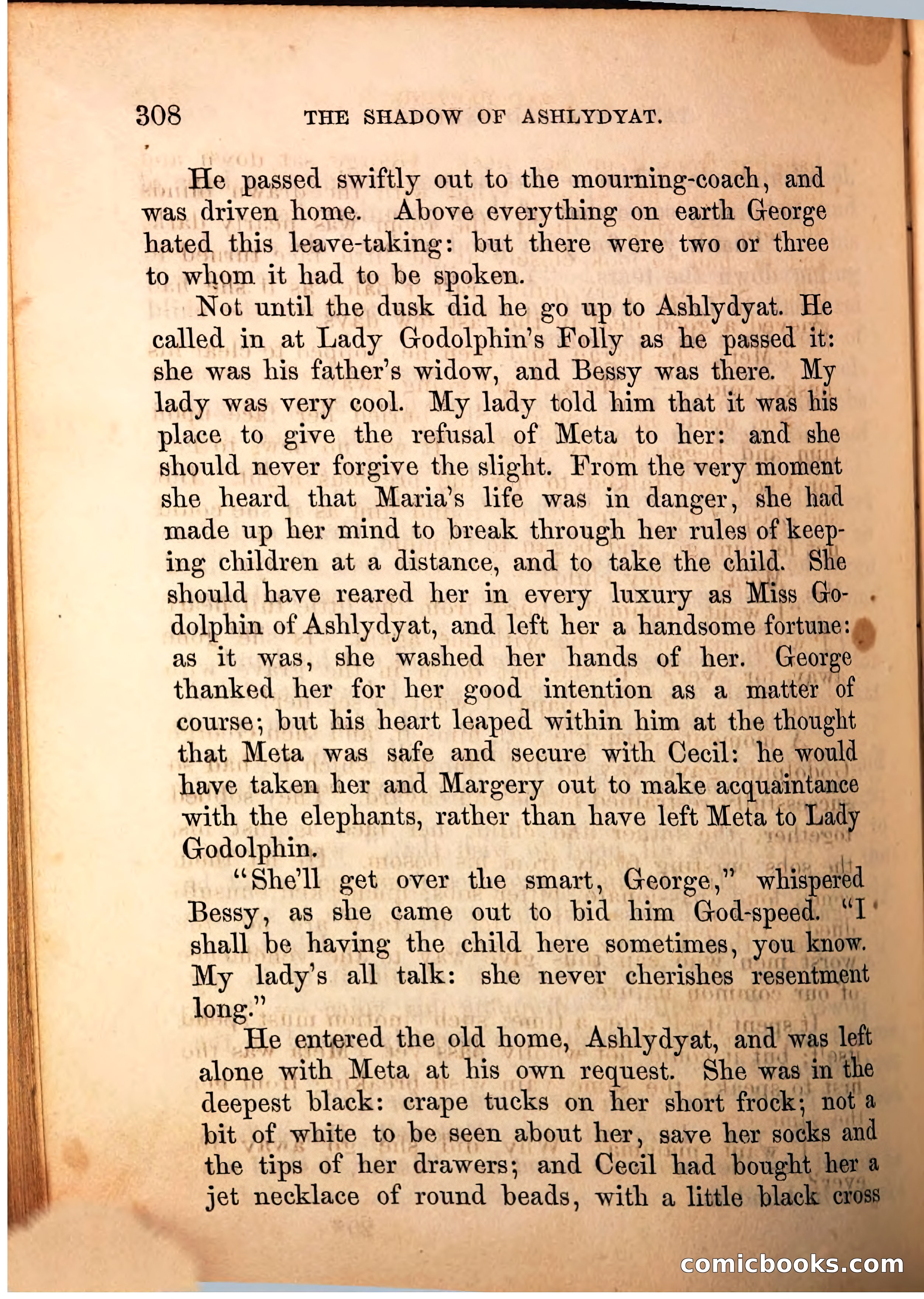 The Shadow of Ashlydyat, Vol. III — page 314 of 335