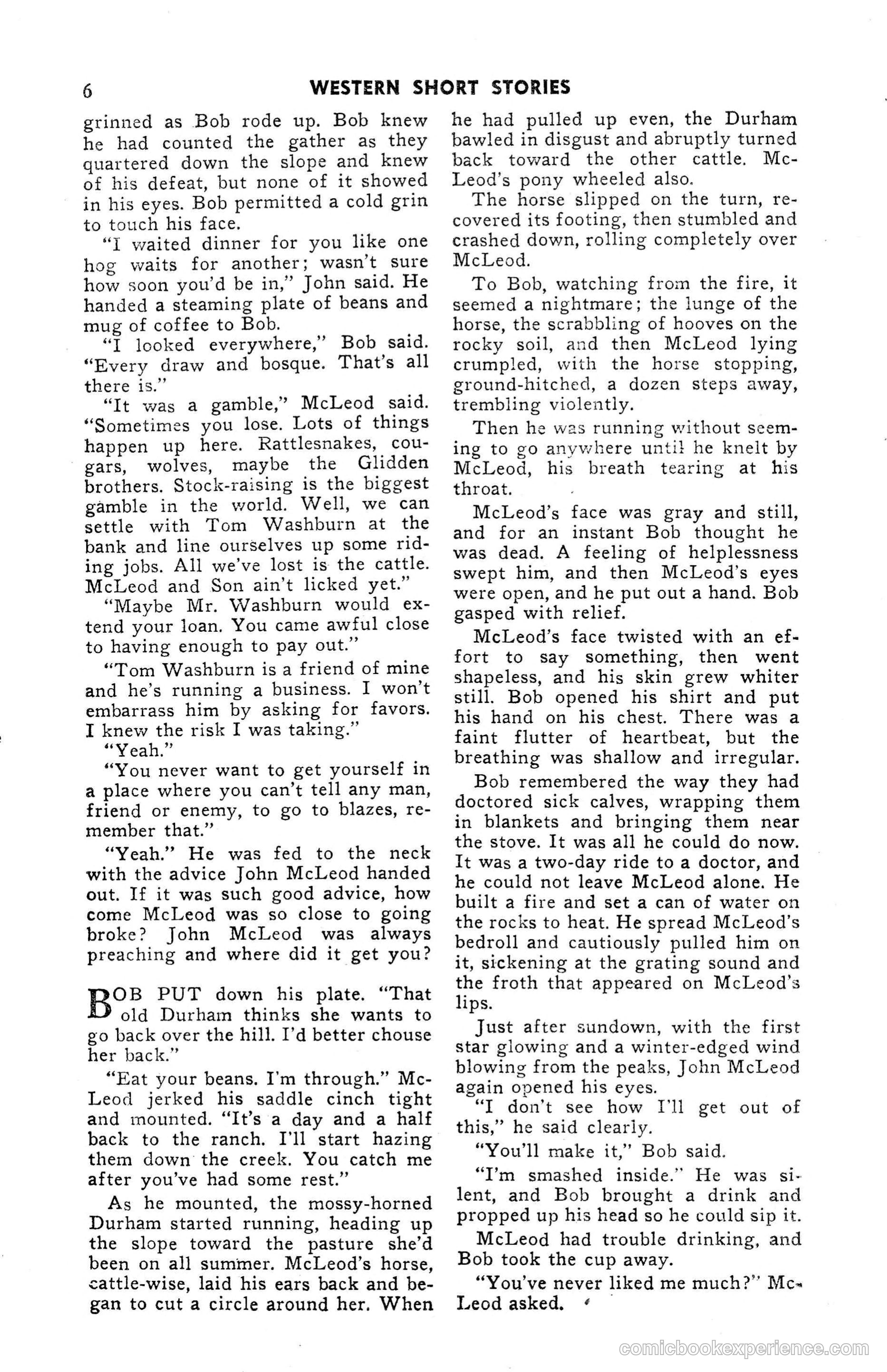 15 Western Short Stories — page 6 of 101