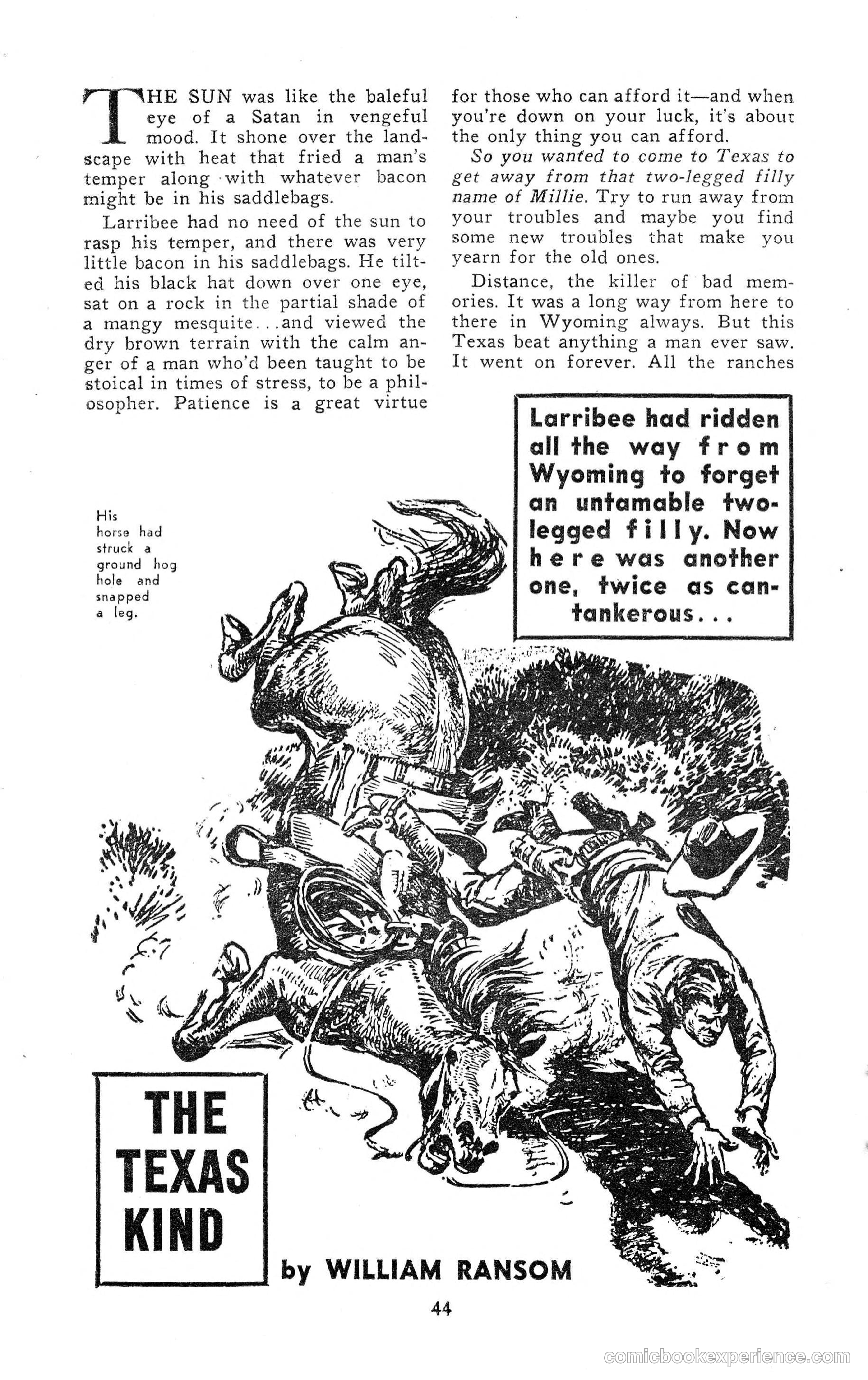 15 Western Short Stories — page 44 of 101