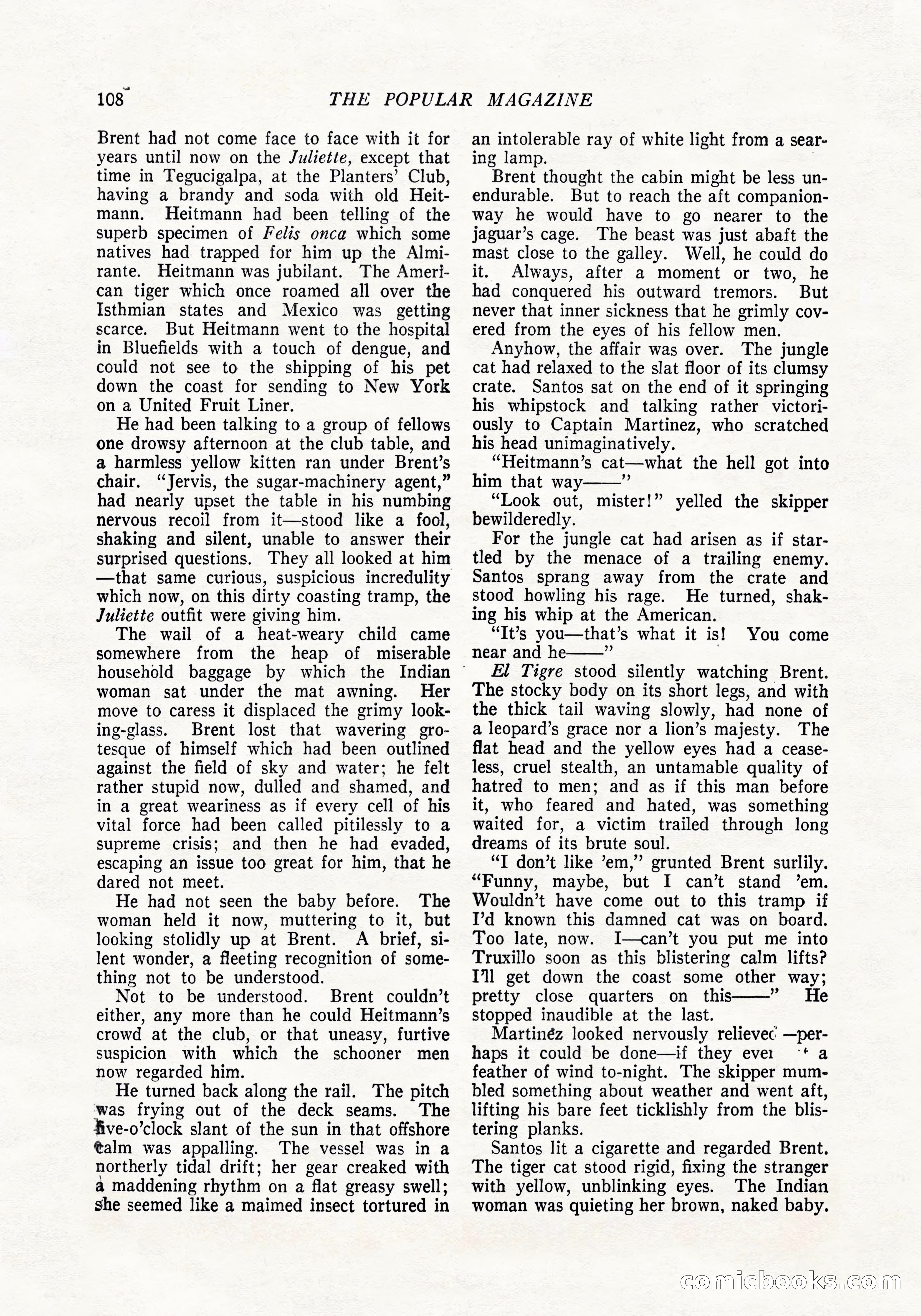 The Popular Magazine, April 20, 1924 — page 110 of 400