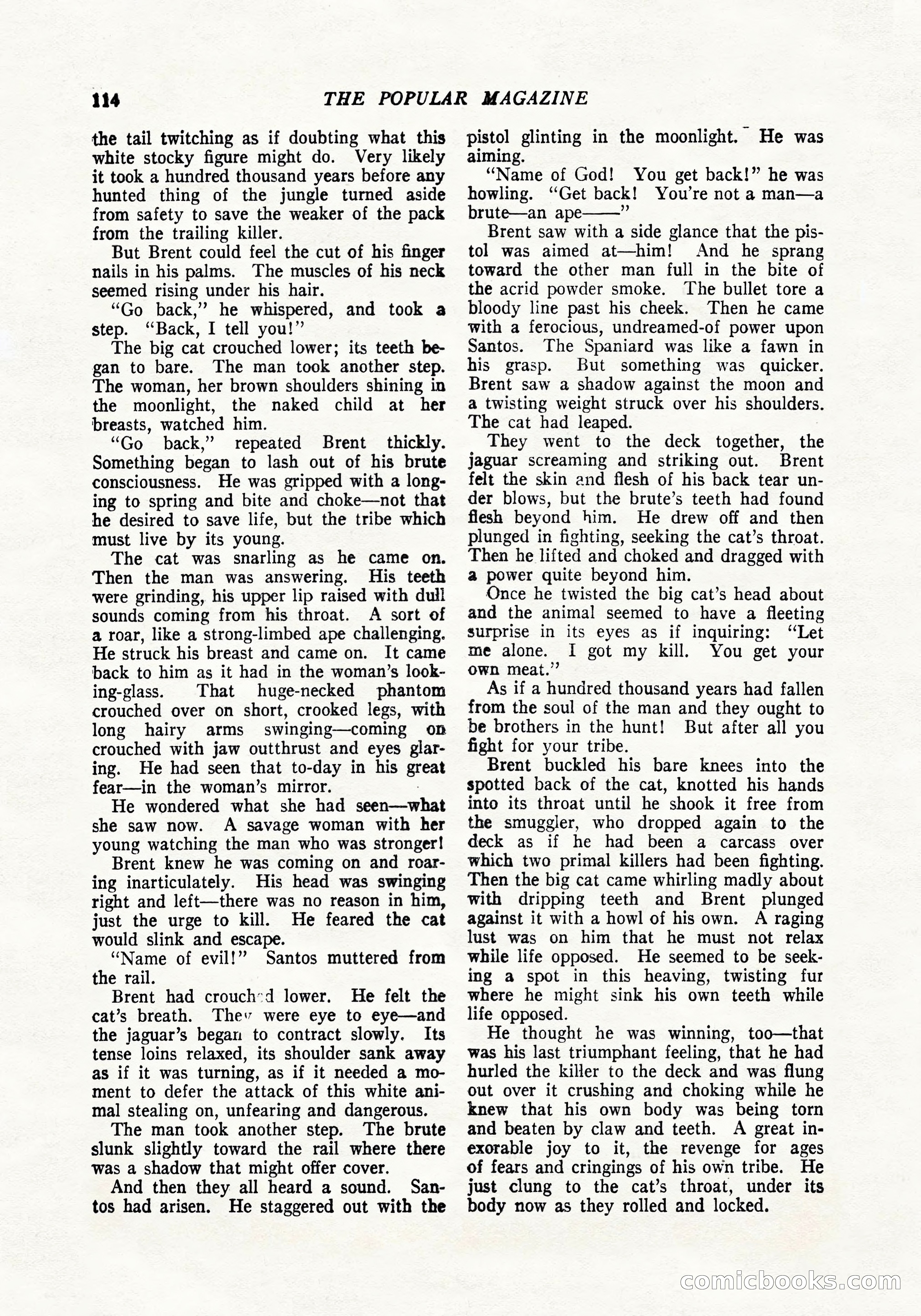 The Popular Magazine, April 20, 1924 — page 116 of 400
