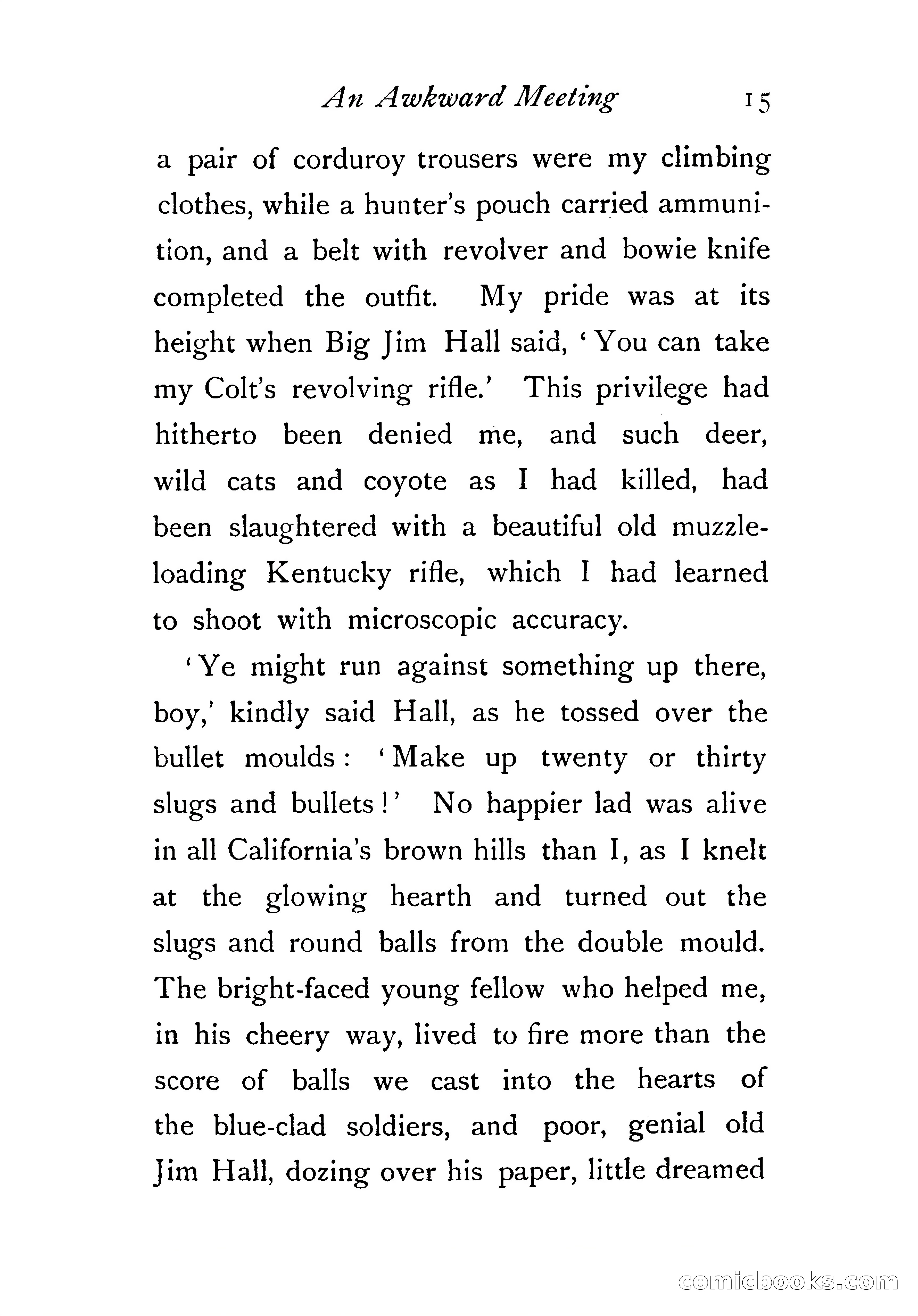 An Awkward Meeting and Other Thrilling Adventures — page 24 of 329
