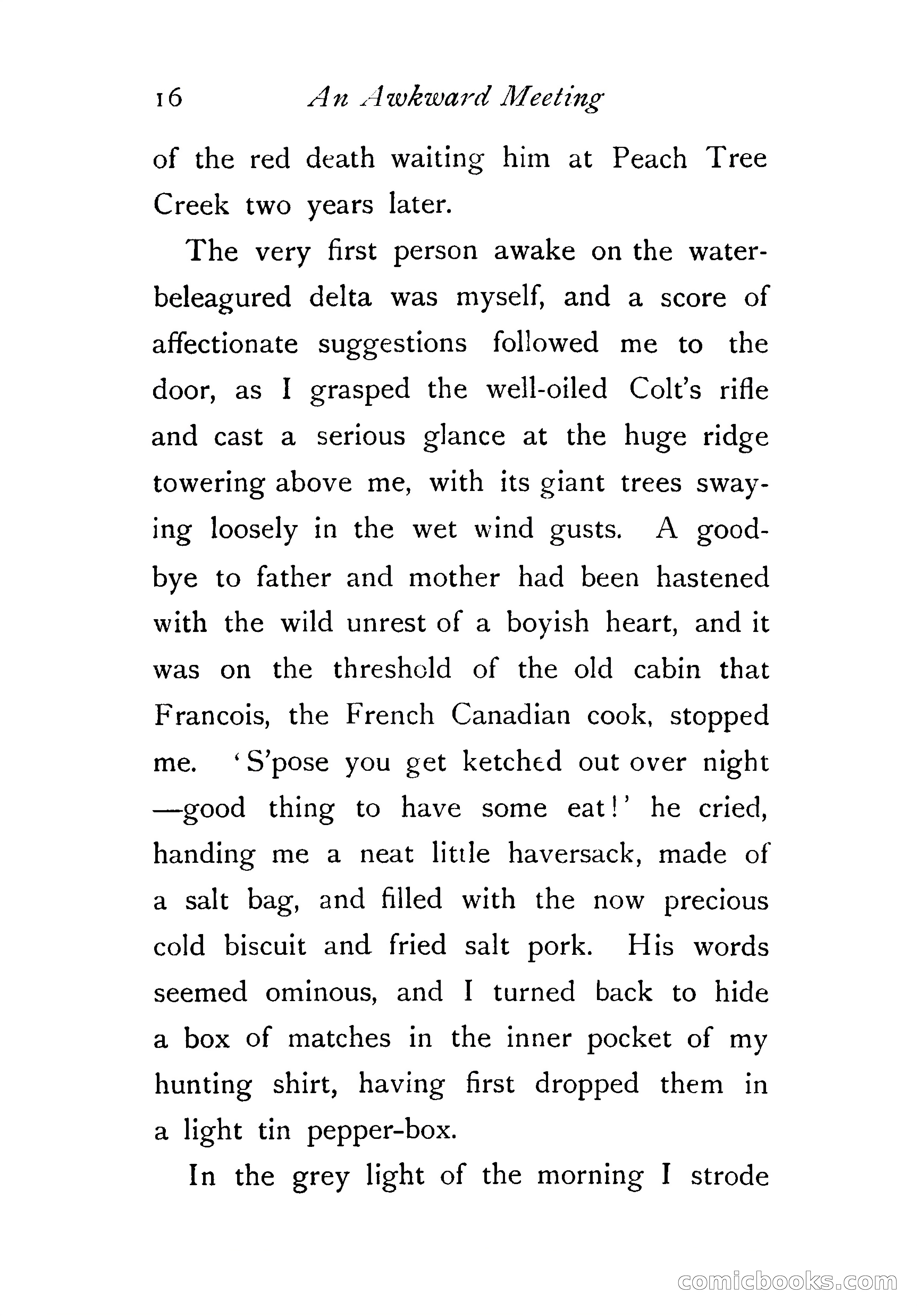 An Awkward Meeting and Other Thrilling Adventures — page 25 of 329