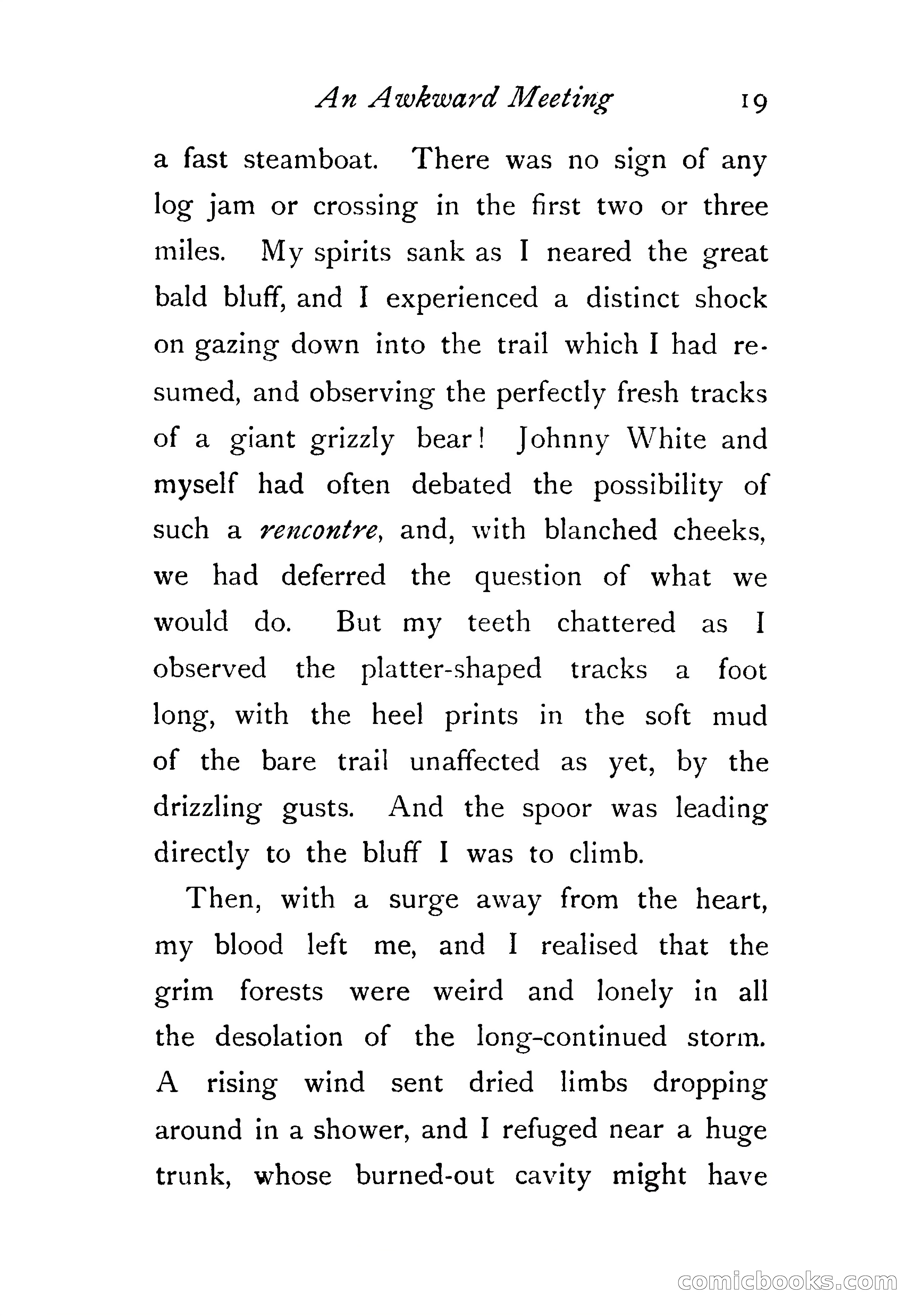 An Awkward Meeting and Other Thrilling Adventures — page 28 of 329