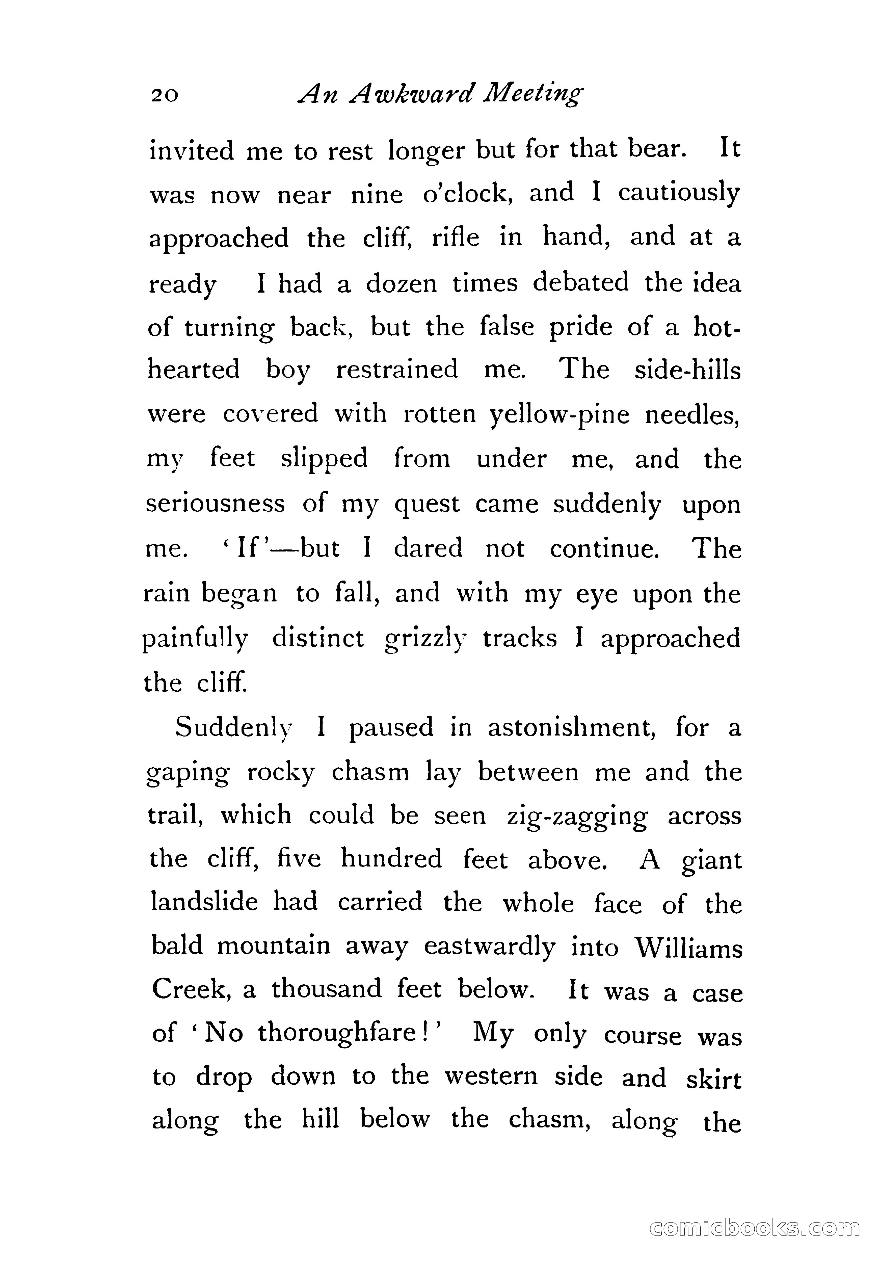 An Awkward Meeting and Other Thrilling Adventures — page 29 of 329