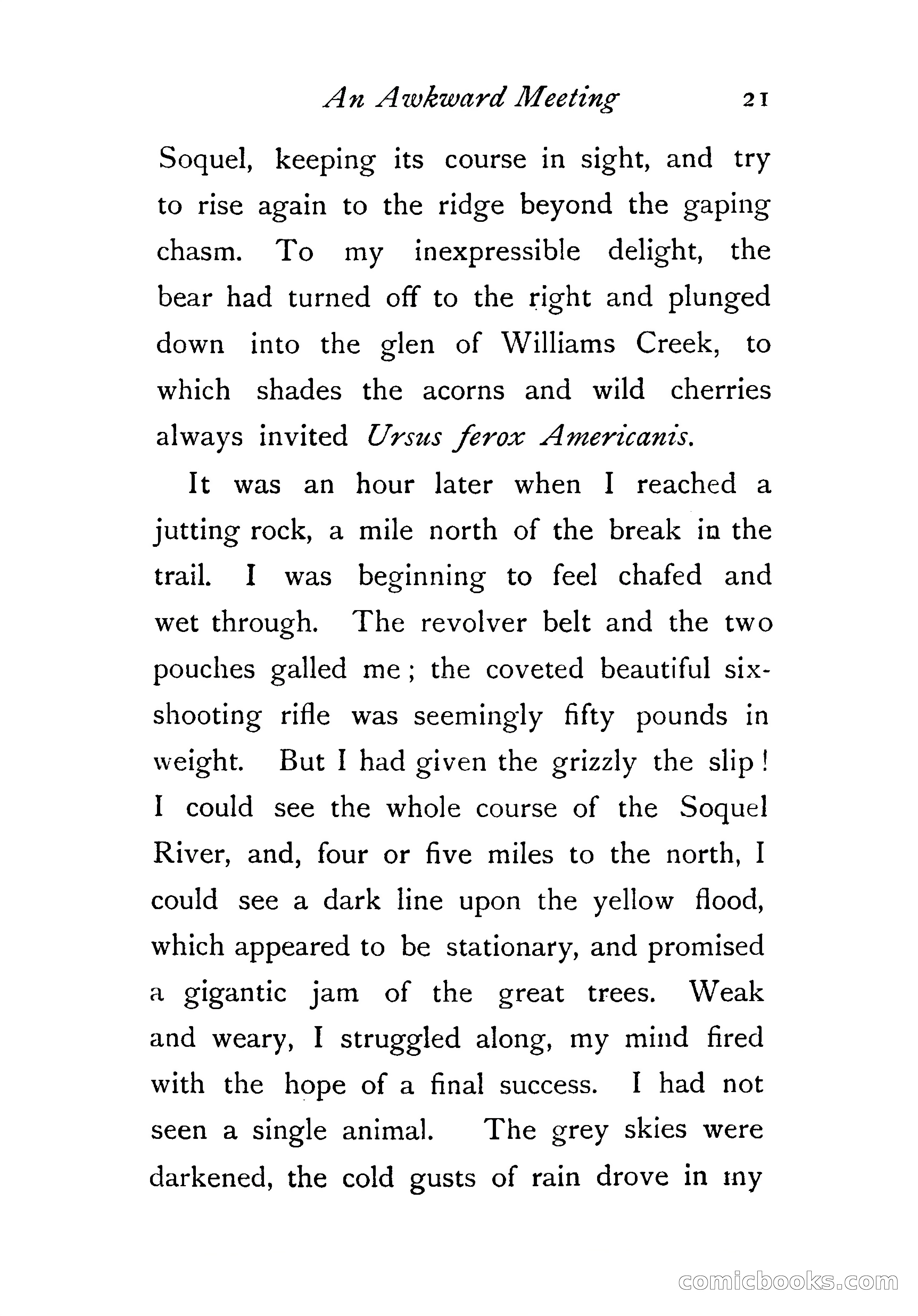 An Awkward Meeting and Other Thrilling Adventures — page 30 of 329