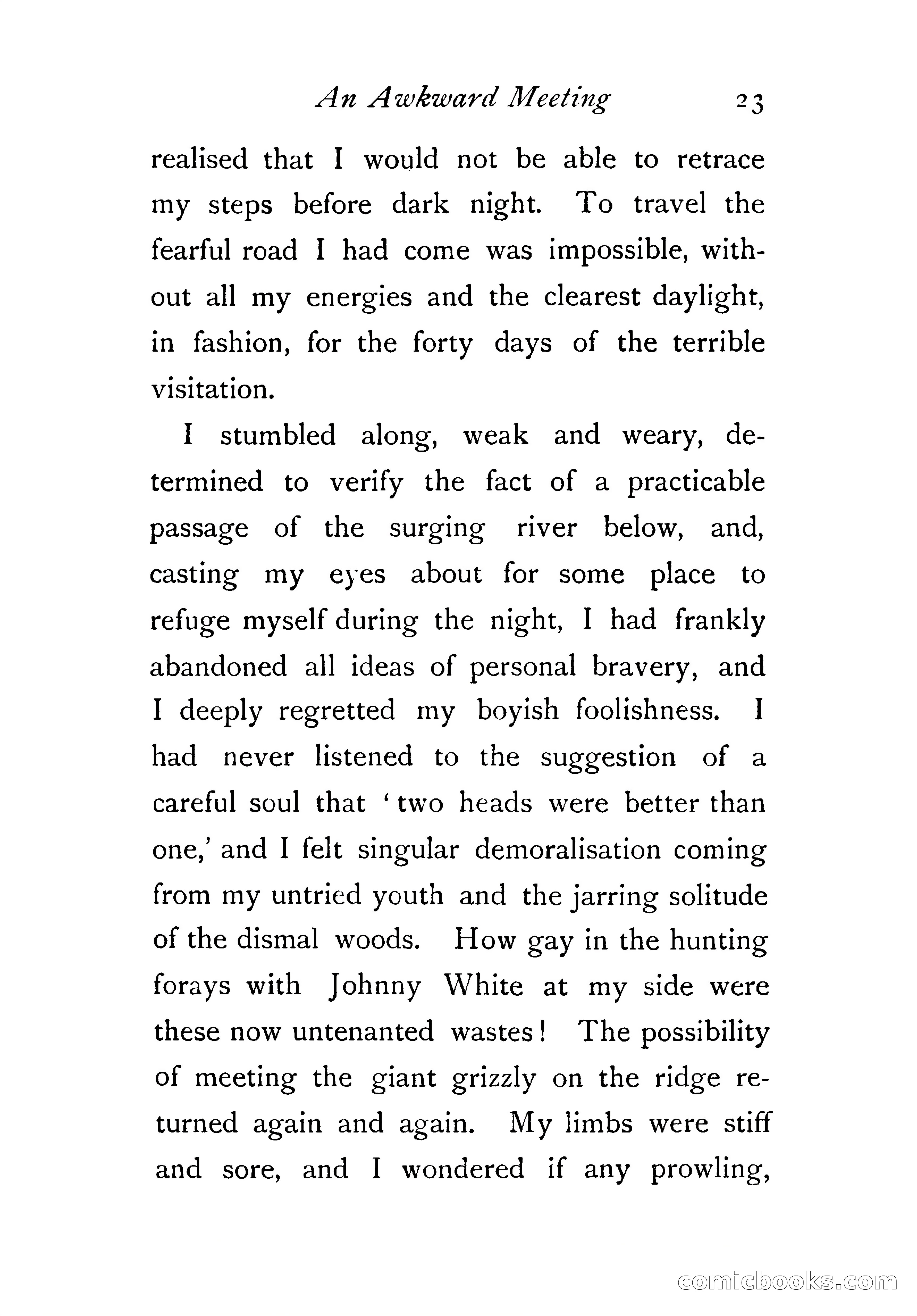 An Awkward Meeting and Other Thrilling Adventures — page 32 of 329