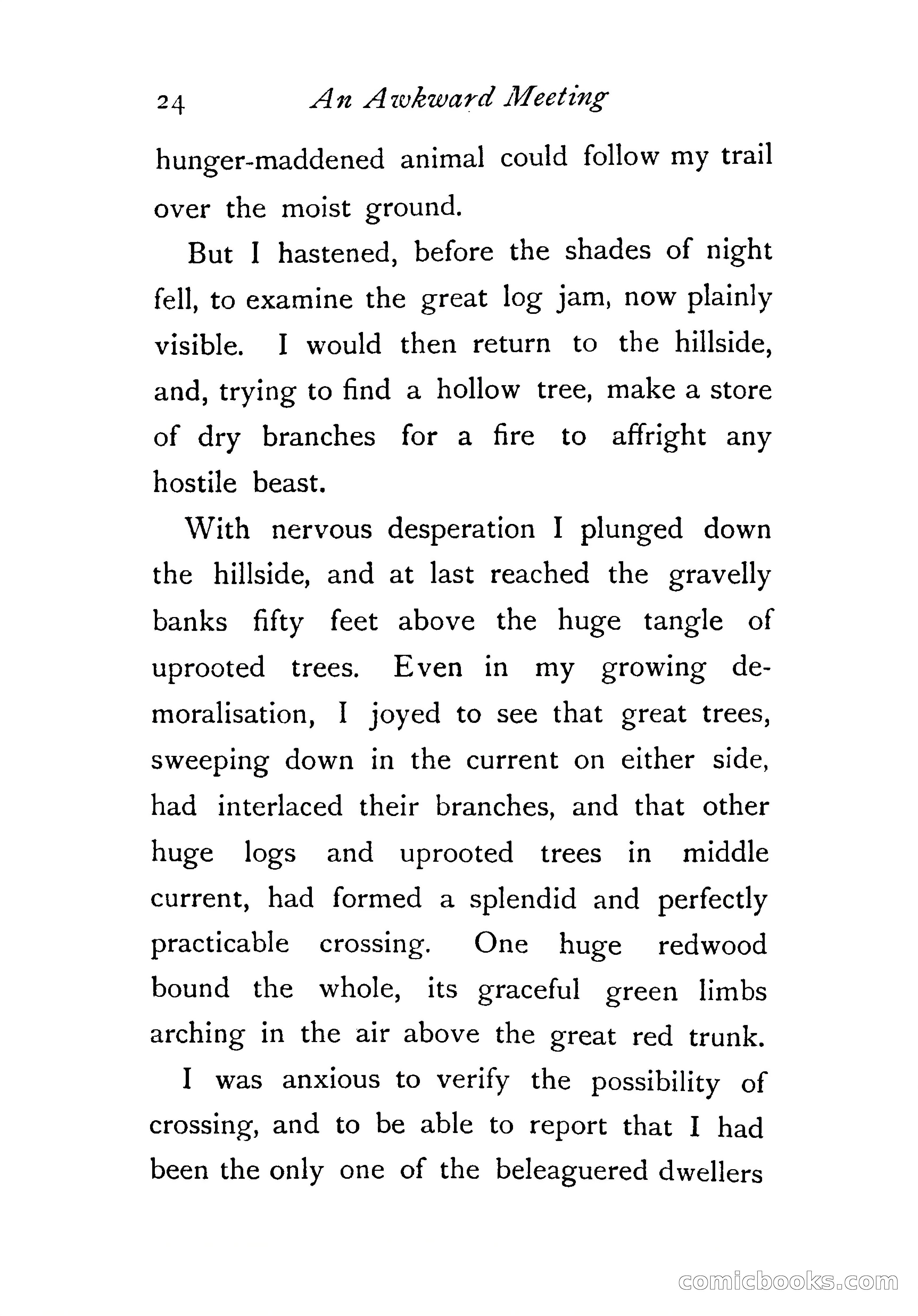 An Awkward Meeting and Other Thrilling Adventures — page 33 of 329