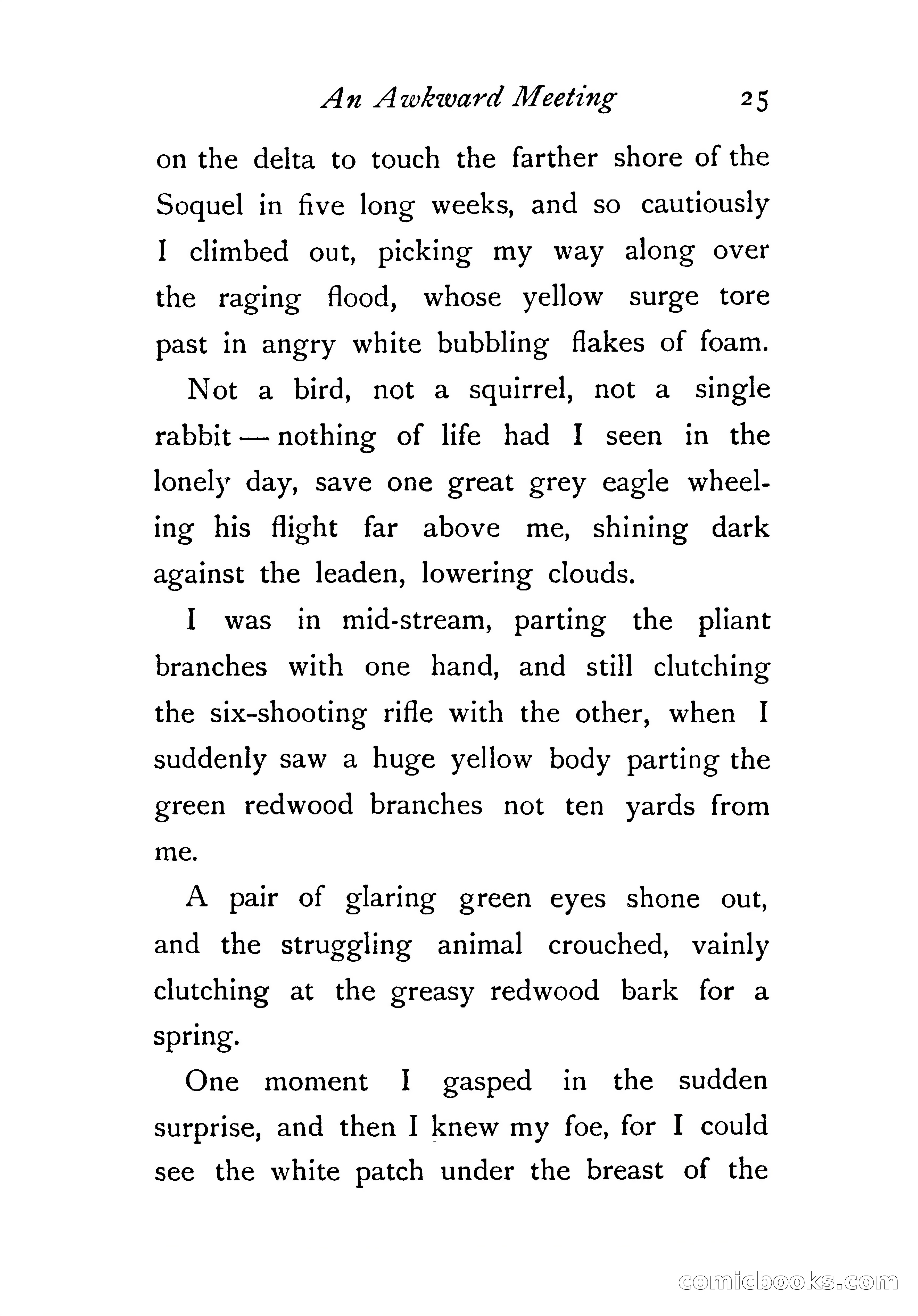 An Awkward Meeting and Other Thrilling Adventures — page 34 of 329