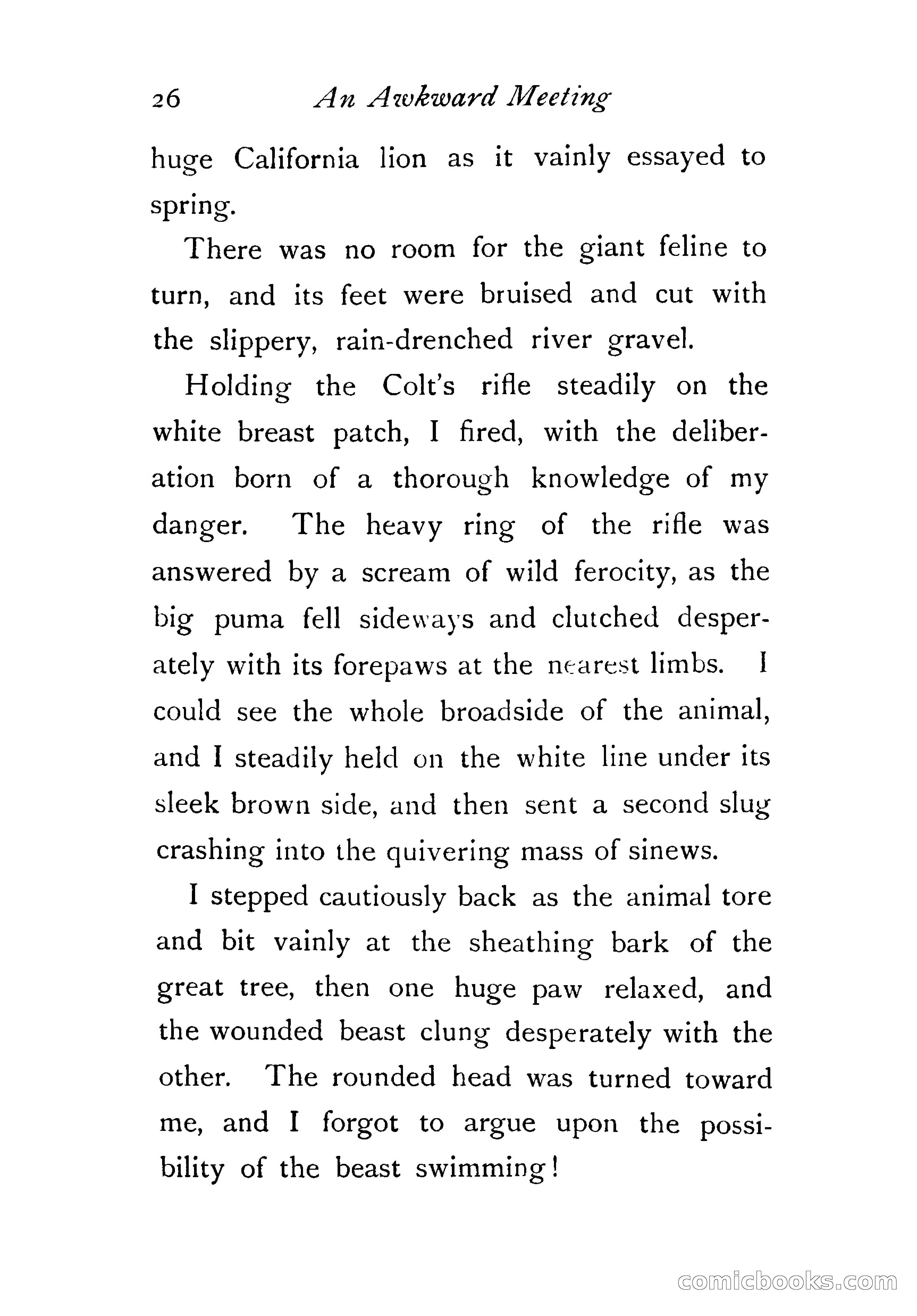 An Awkward Meeting and Other Thrilling Adventures — page 35 of 329