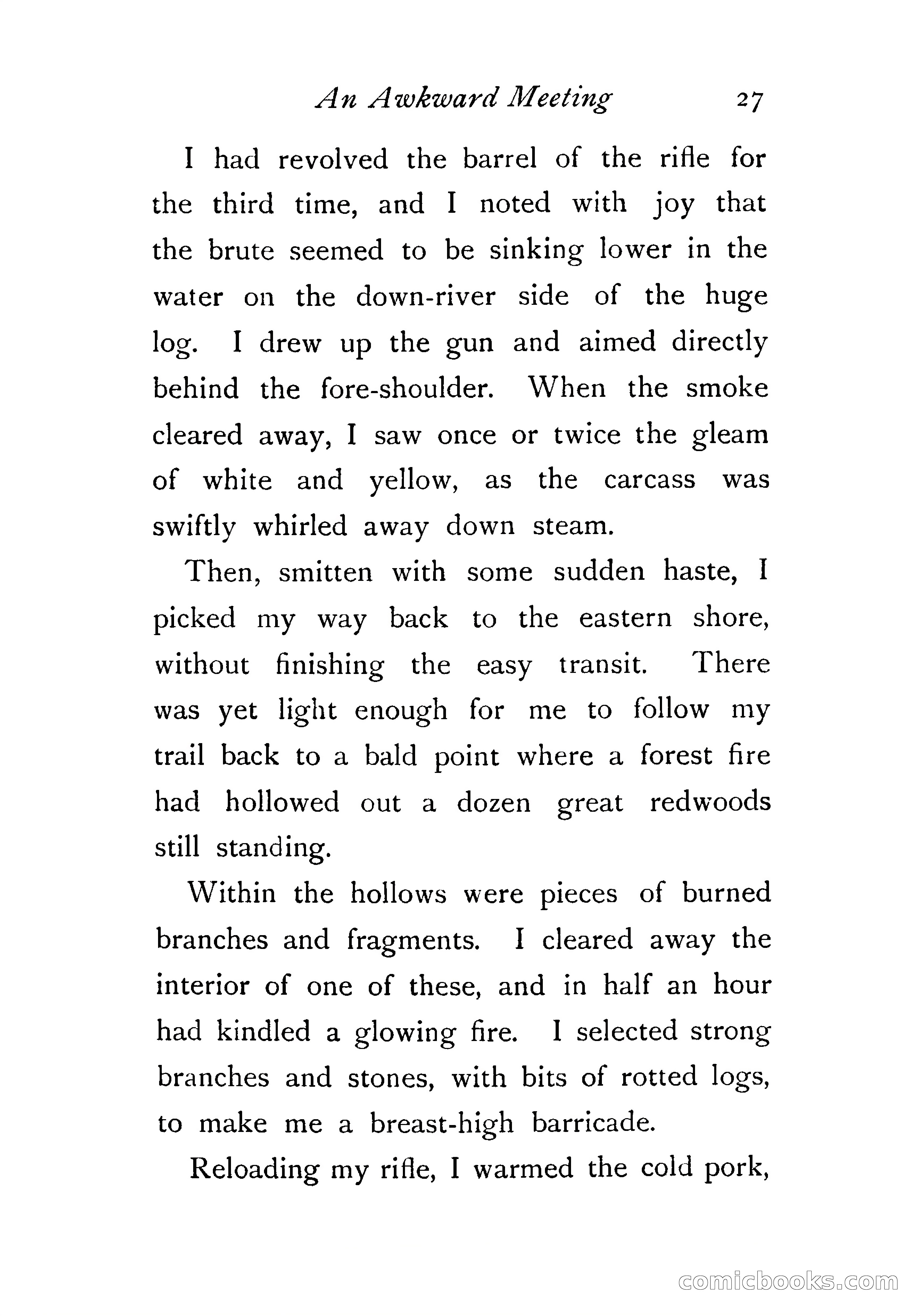 An Awkward Meeting and Other Thrilling Adventures — page 36 of 329